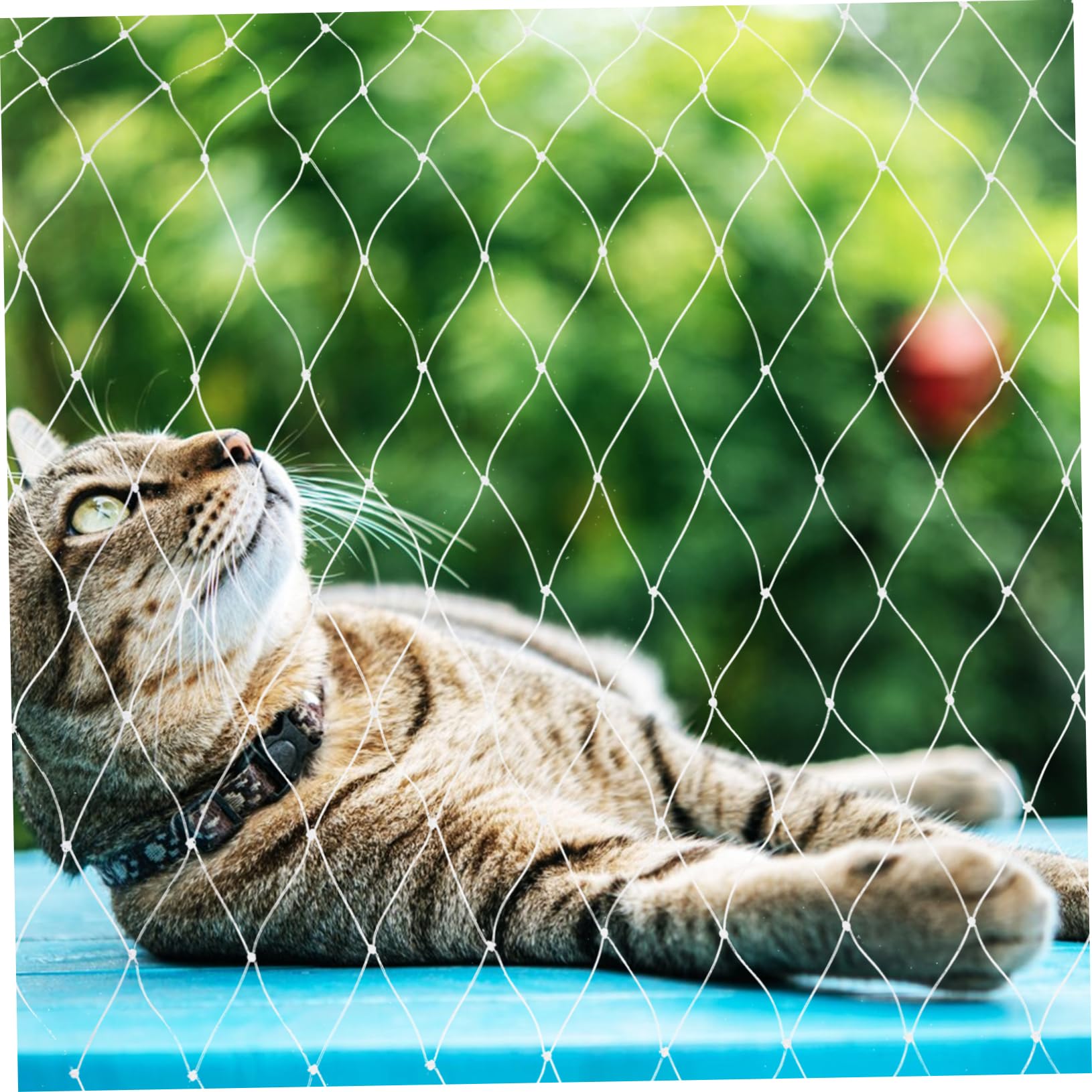 Katzenschutznetz für Balkon und Fenster Netz Balkon Katze ohne Bohren Nylon Weiß Zuschneidbar zur Absturzsicherung