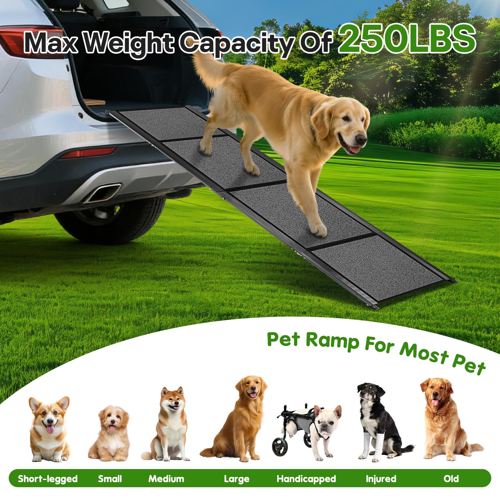 Healifty Hunderampe Auto Klappbar, Hunderampe, Zusammenklappbare Hundetreppe, Montage in 5s, Leichtem Aluminiumrahmen & Rutschfester Oberfläche, Rampe Hund für 110kg Große Hunde SUV & LKW (170x45CM)