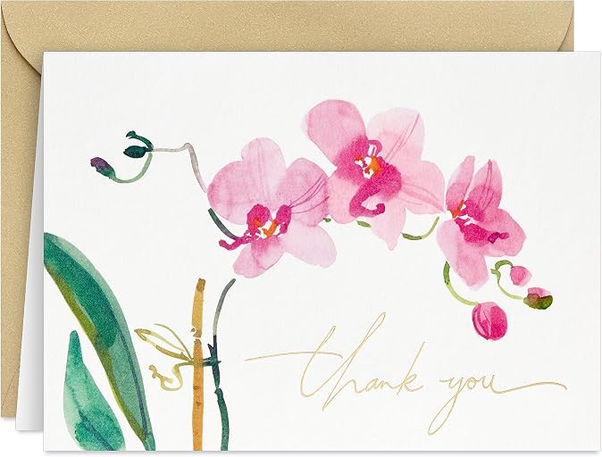 Hallmark Pink Orchid Thank You Notes (20 Blank Cards with Envelopes) for Bridal Shower, Baby Shower, Wedding, Birthday