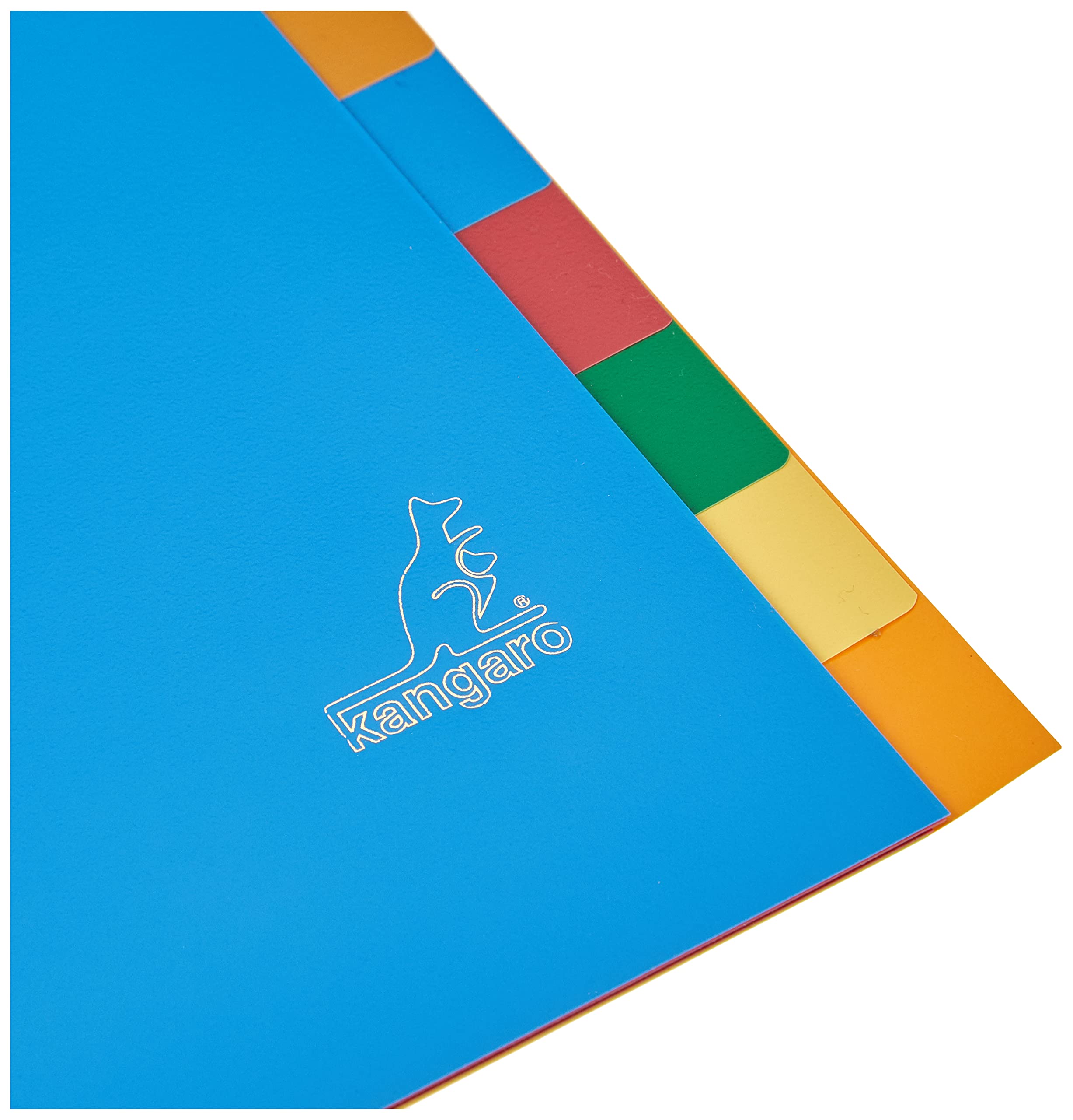 Kangaro Tabletas Register A5 en blanco de polipropileno, 120 micras, 17 unidades, surtidas, 21 x 18 x 0,1 (producto holandés)