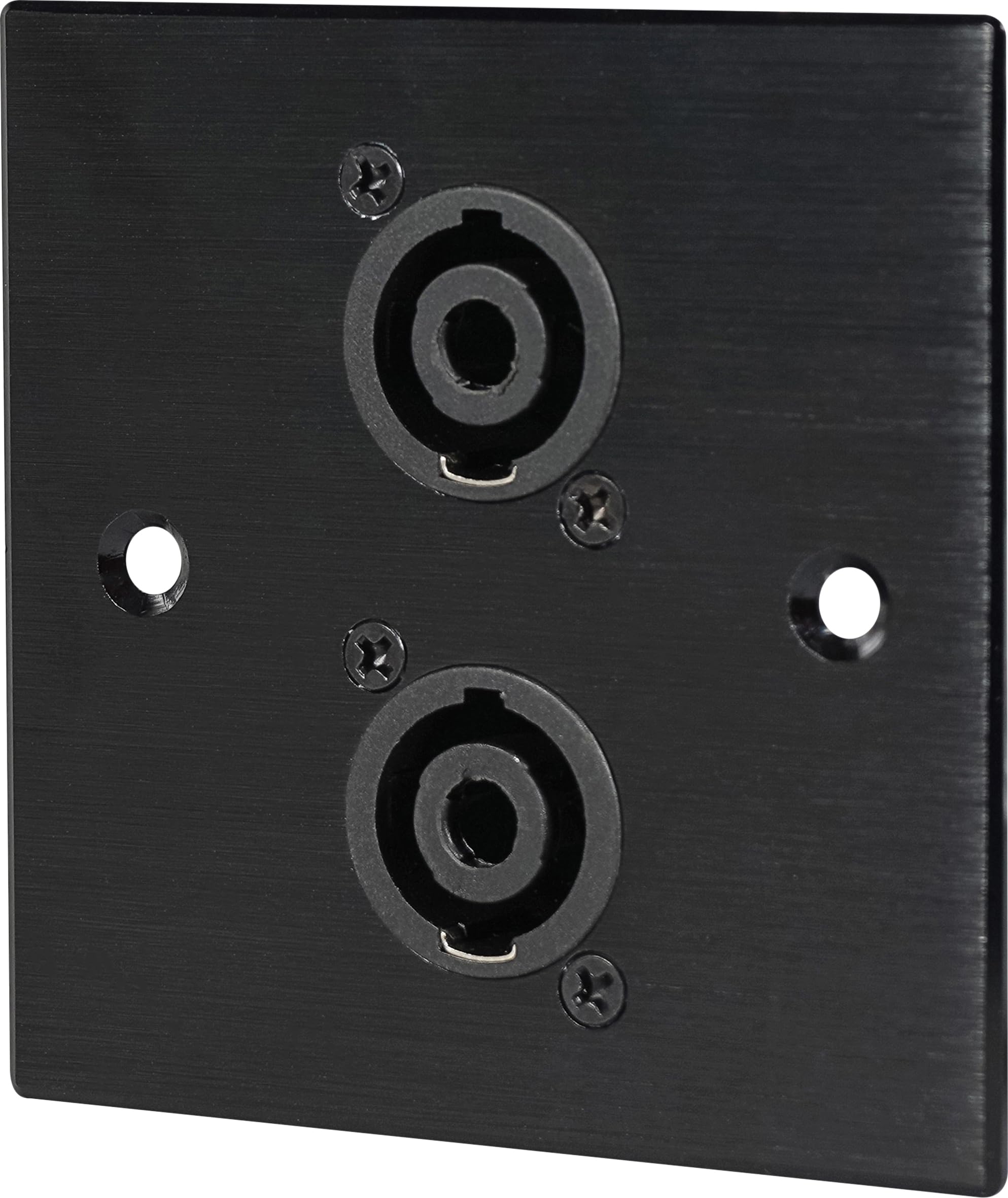 Eagle Black X Four Pole Speaker Socket Wall Plate Size 2