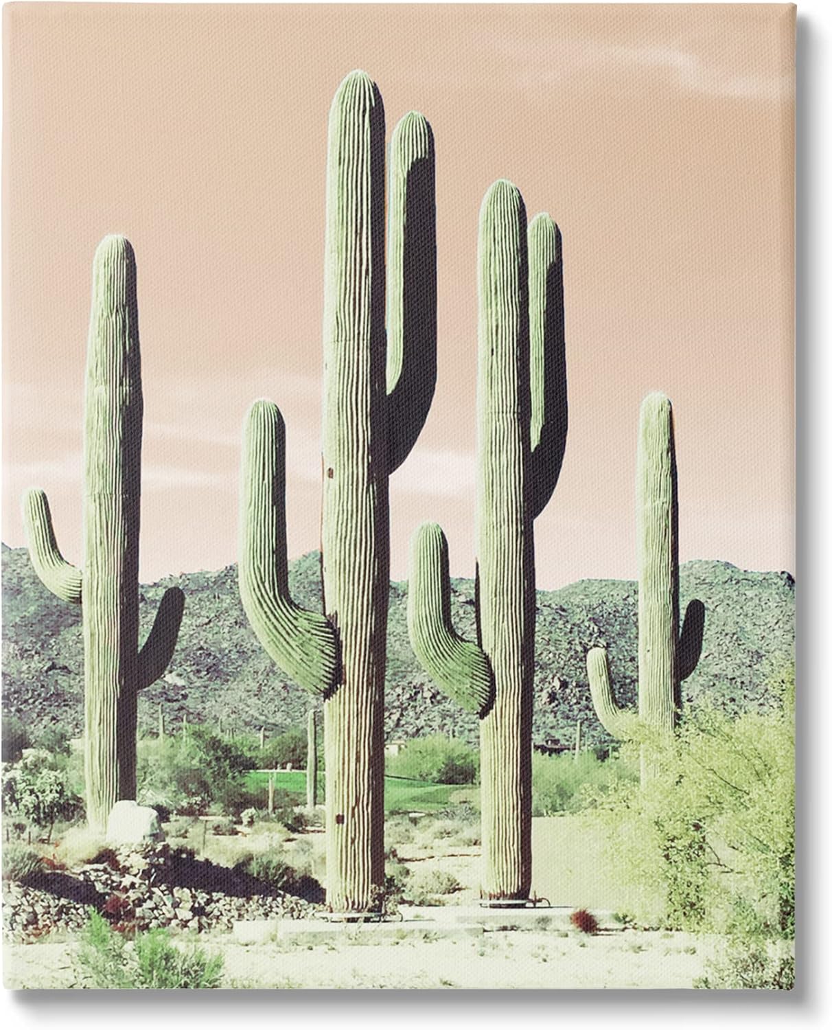 Stupell Industries Towering Cactus Plants Arid Desert Vegetation Nature Canvas Wall Art, Design By Susan Bryant