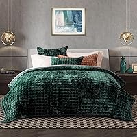 Vista 40 de RECYCO Juego de edredón de lujo de terciopelo tamaño Queen, juego de edredón de terciopelo ligero, juego de ropa de cama acolchada de tamaño grande