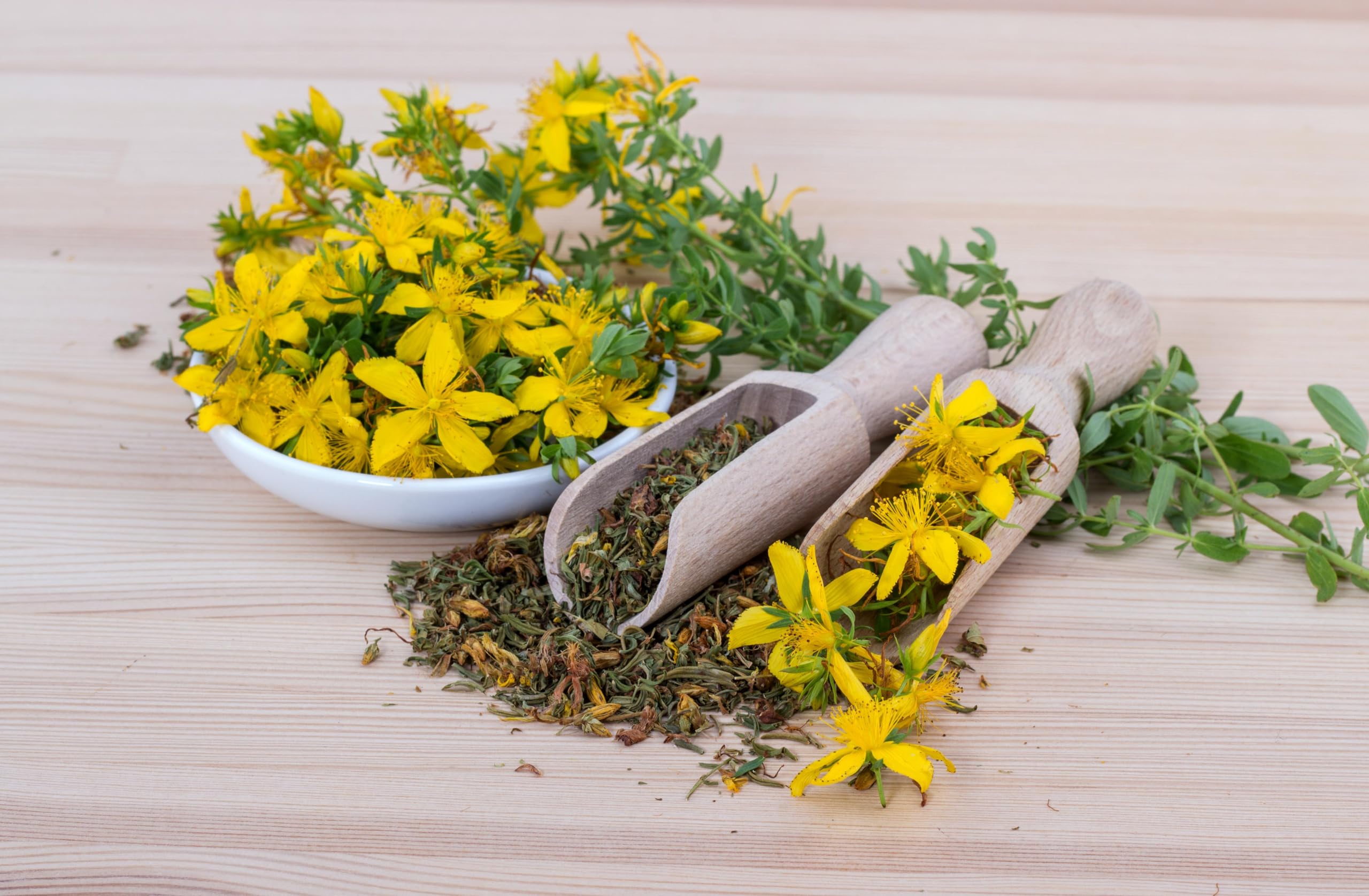 Echtes Johanniskraut (Hypericum perforatum) Samen. Heilpflanze des Jahres 2019 (100000 Samen = 10,0g)