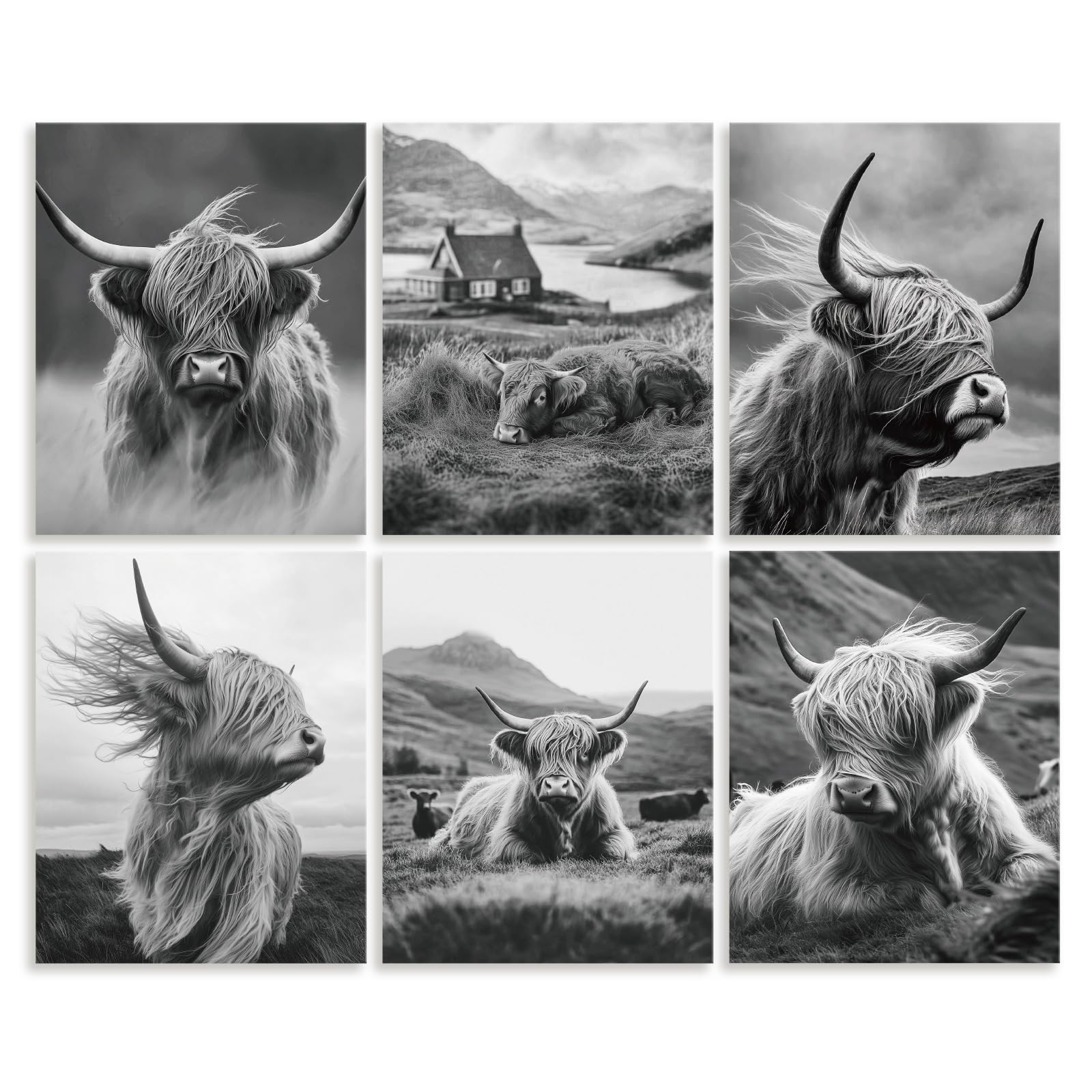 DOODLREAM 6Pcs Unframed Highland Cow Canvas Wall Art for Home Decor