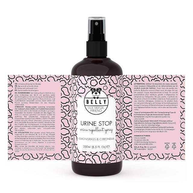 Foto 8 de 8 de Belly Spray Repelente para Perros para Cualquier Superficie: Anti Orines y Antimordeduras - 250ml