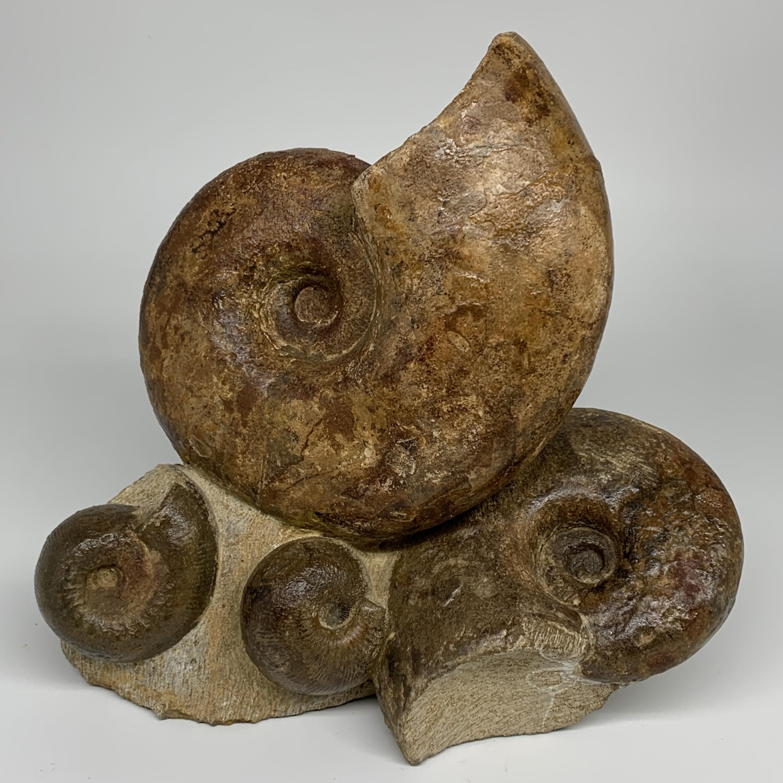 WatanGems 19.1 lbs, 12