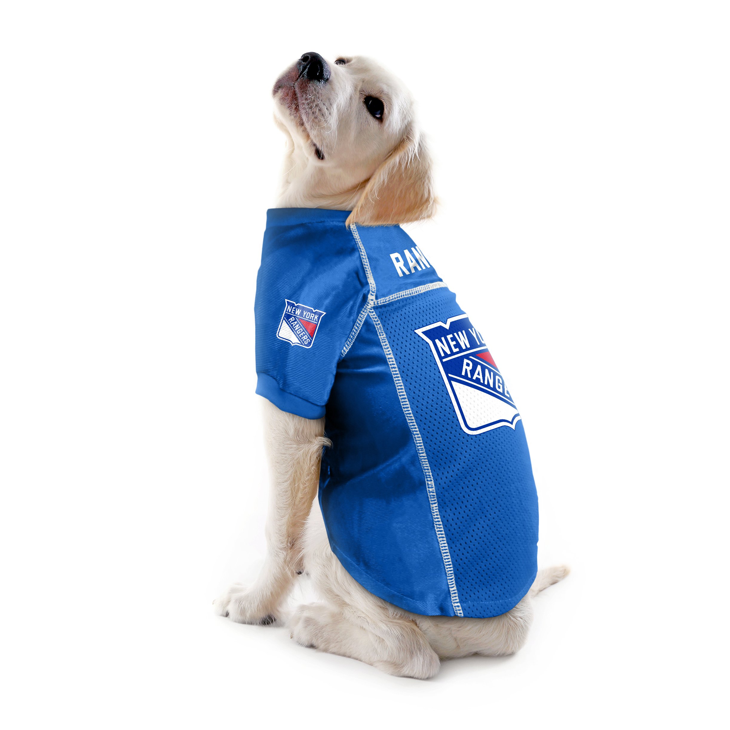 Littlearth NHL Basic Pet Jersey