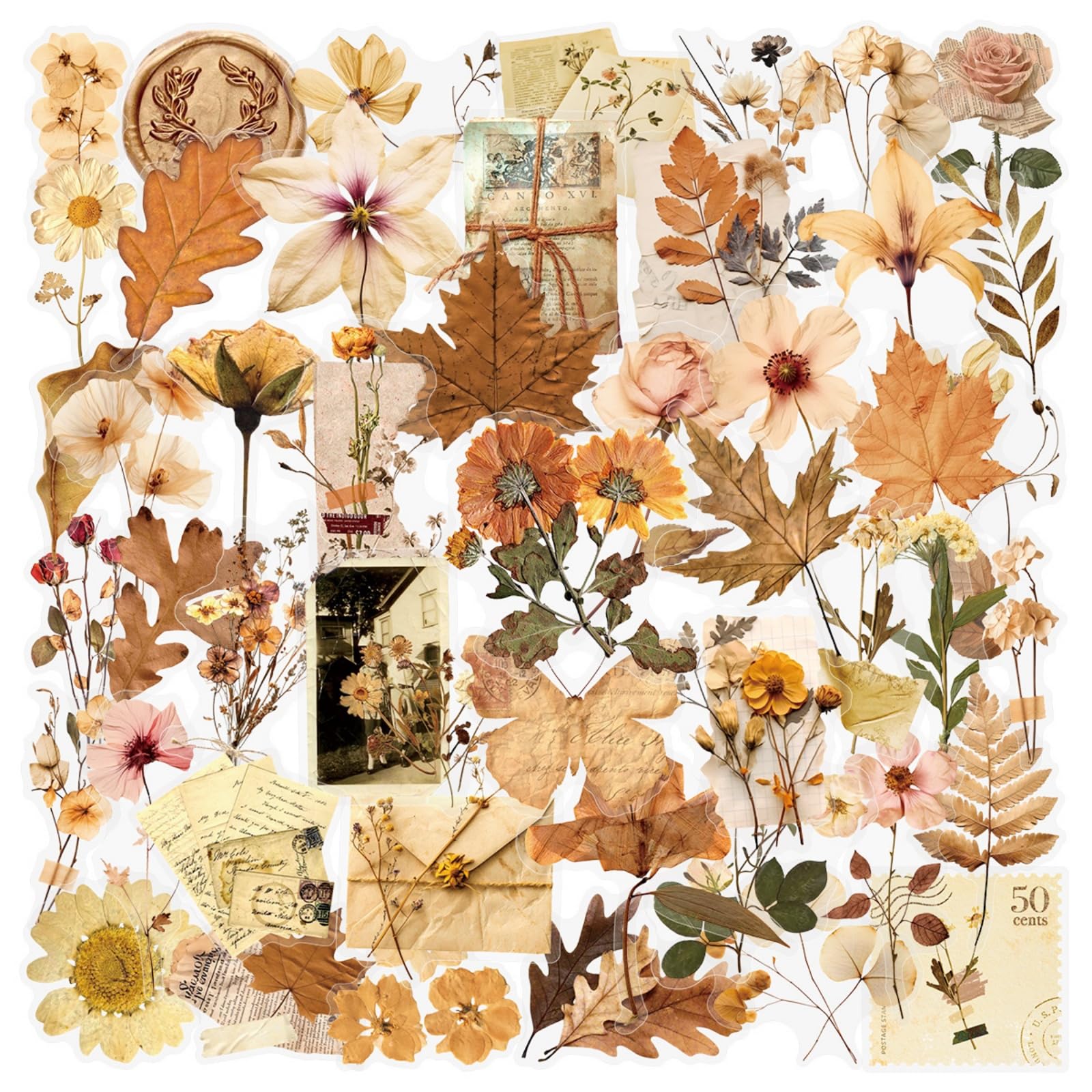 Vintage Aesthetic Scrapbook Stickers Flora Flowers Stickers Brown