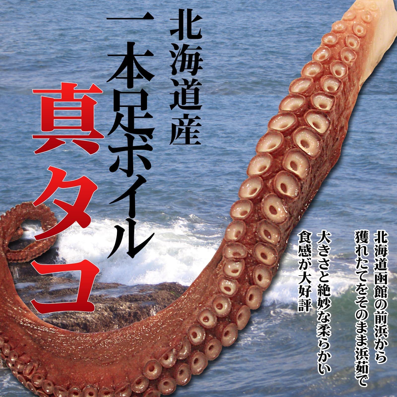Amazon.co.jp: タコ 特大 タコ足のみ 計8キロ（約800g×10本） 北海道産