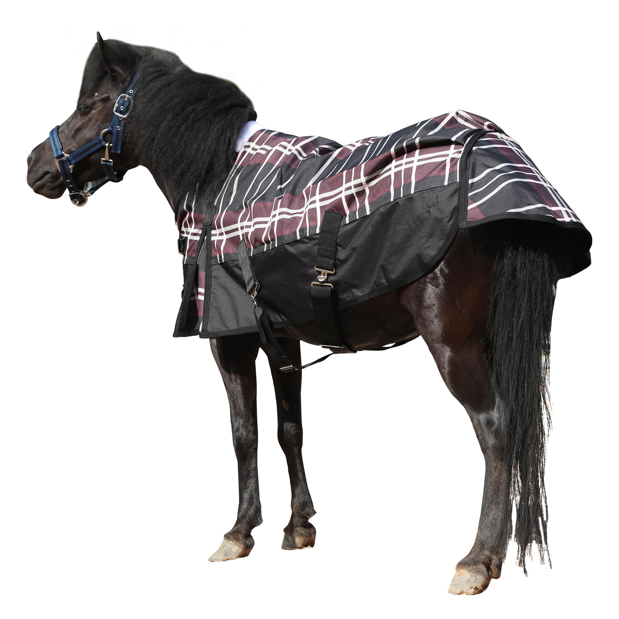 Coperta antipioggia 600D per Shetty & Puledro, impermeabile, antivento, traspirante, antistrappo, senza imbottitura (0 g), pony