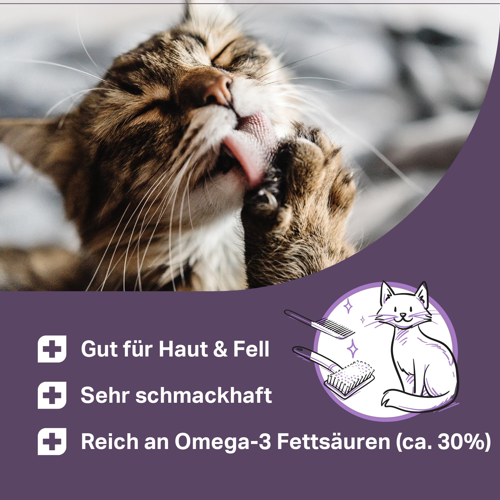 MEDICAT Premium Lachsöl – 250 ml – zur Haut- und Fellpflege von Katzen, mit Omega-3-Fettsäuren