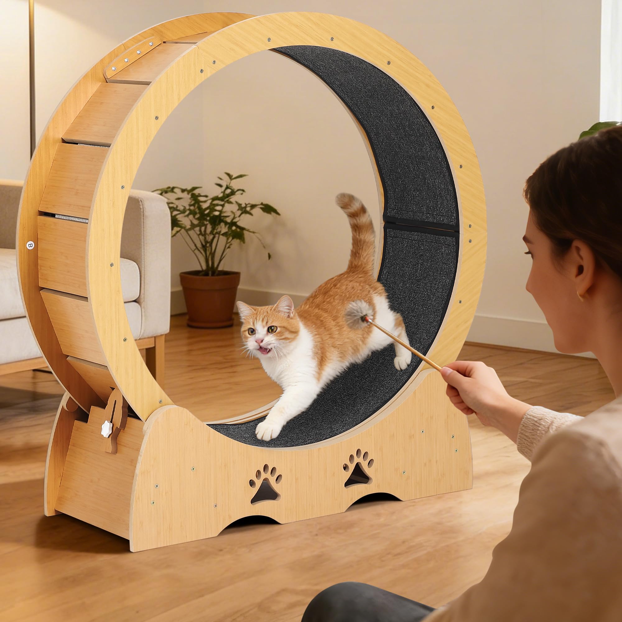 Garvee - Rueda de ejercicio de madera para gato de interior, alfombra extraíble silenciosa, ideal para el mantenimiento, la marcha y la salud de los gatitos, diseño natural