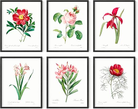 HAUS AND HUES Vintage Flower Posters and Prints - Set of 6 Wildflower Wall Art Botanical Print Set | Plant Poster Floral Art Prints for Wall UNFRAMED 8x10
