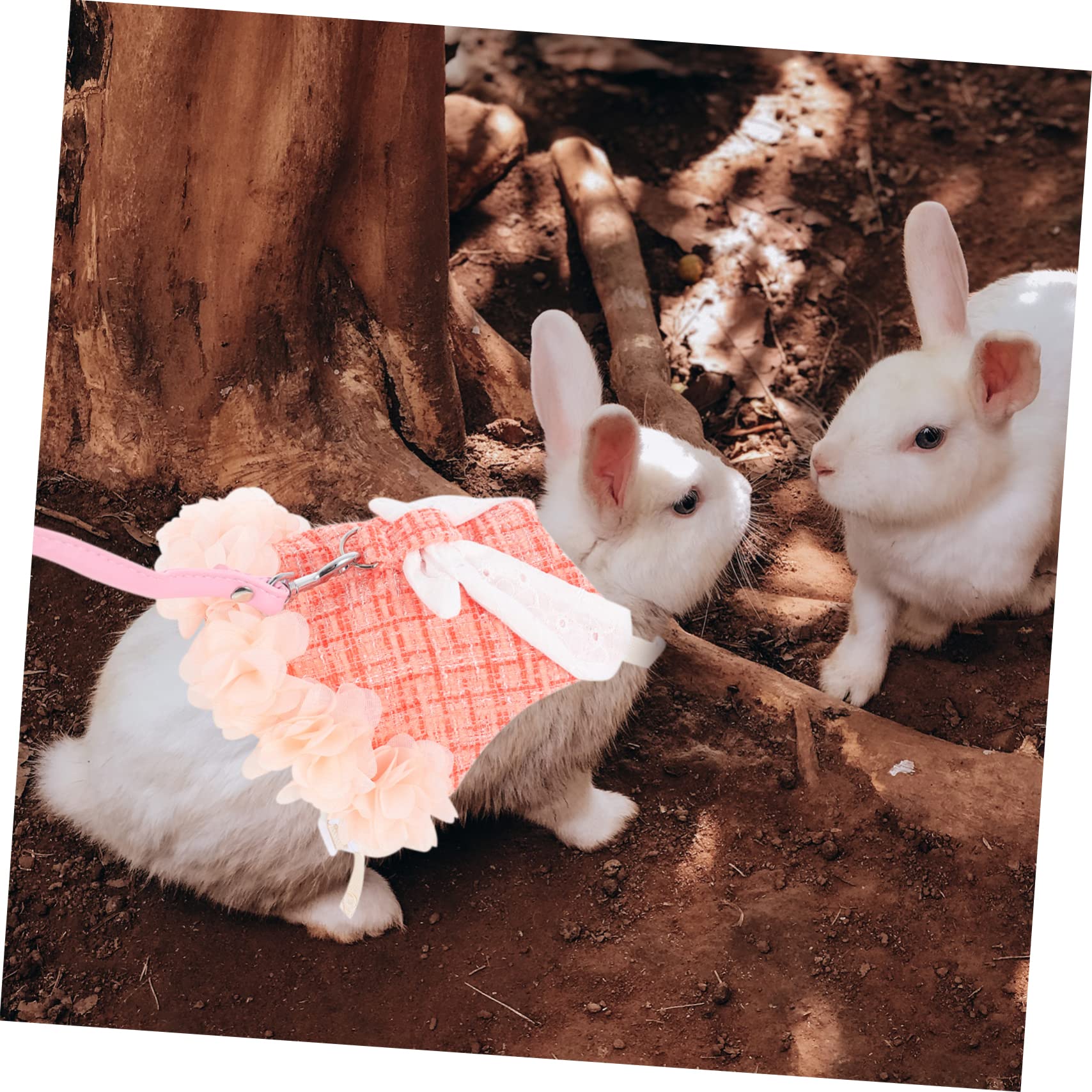 Supvox 3sätze Mit Atmungsaktives Bunny Geschirr Für Haustiere Stylisches Und Bequemes Bunny Outfit Orange Für Ausflüge Und Tägliche