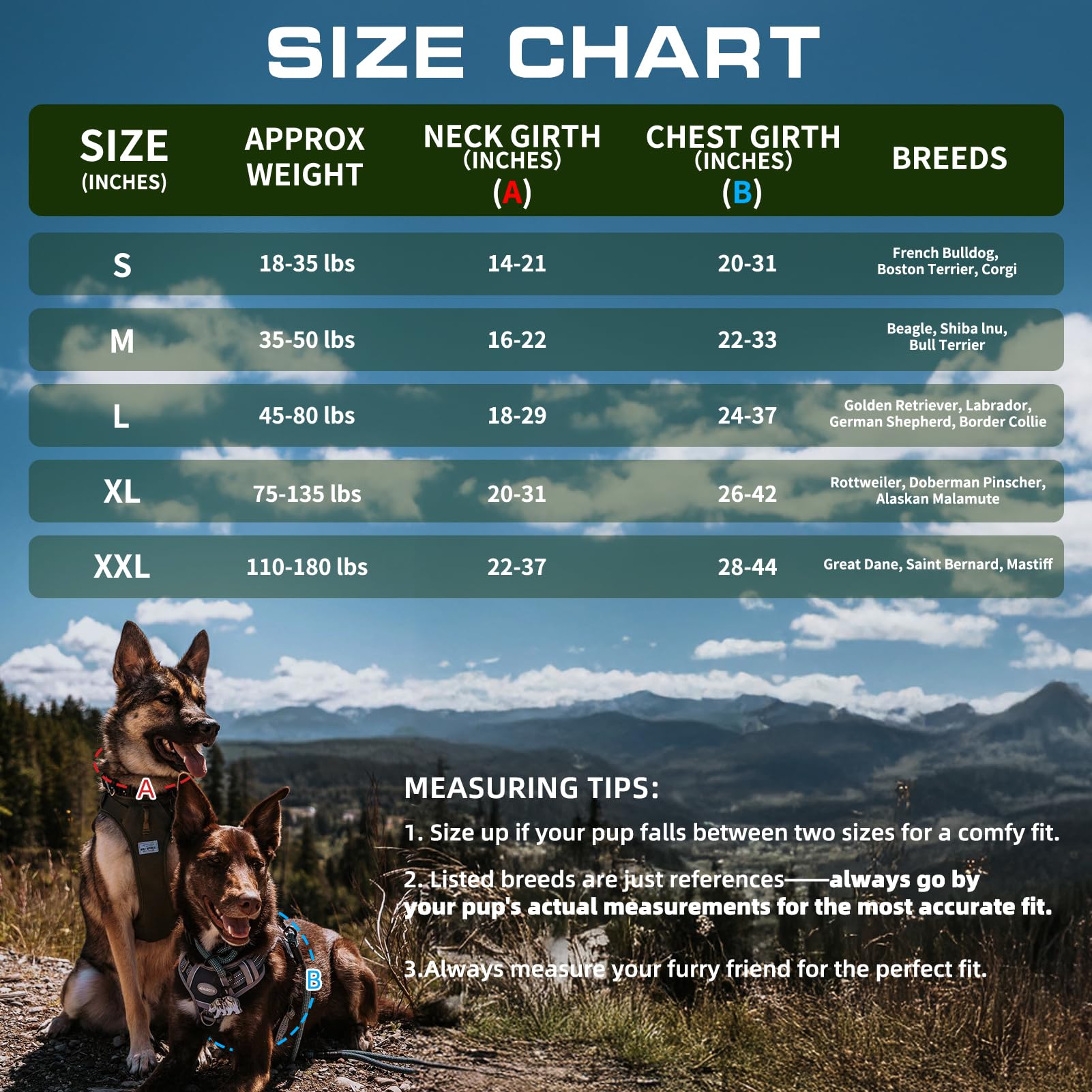 Auroth Arnés táctico para Perros pequeños, medianos y Grandes, arnés Ajustable sin tirones, Reflectante K9, Entrenamiento de Trabajo, Chaleco de fácil Control, arnés para Perros de Servicio Militar