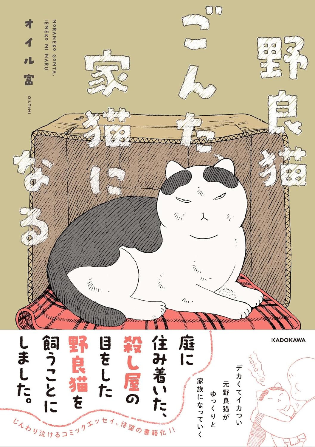 野良猫ごんた、家猫になる Amazonで販売中 野良猫ごんた、家猫になる Amazonで販売中