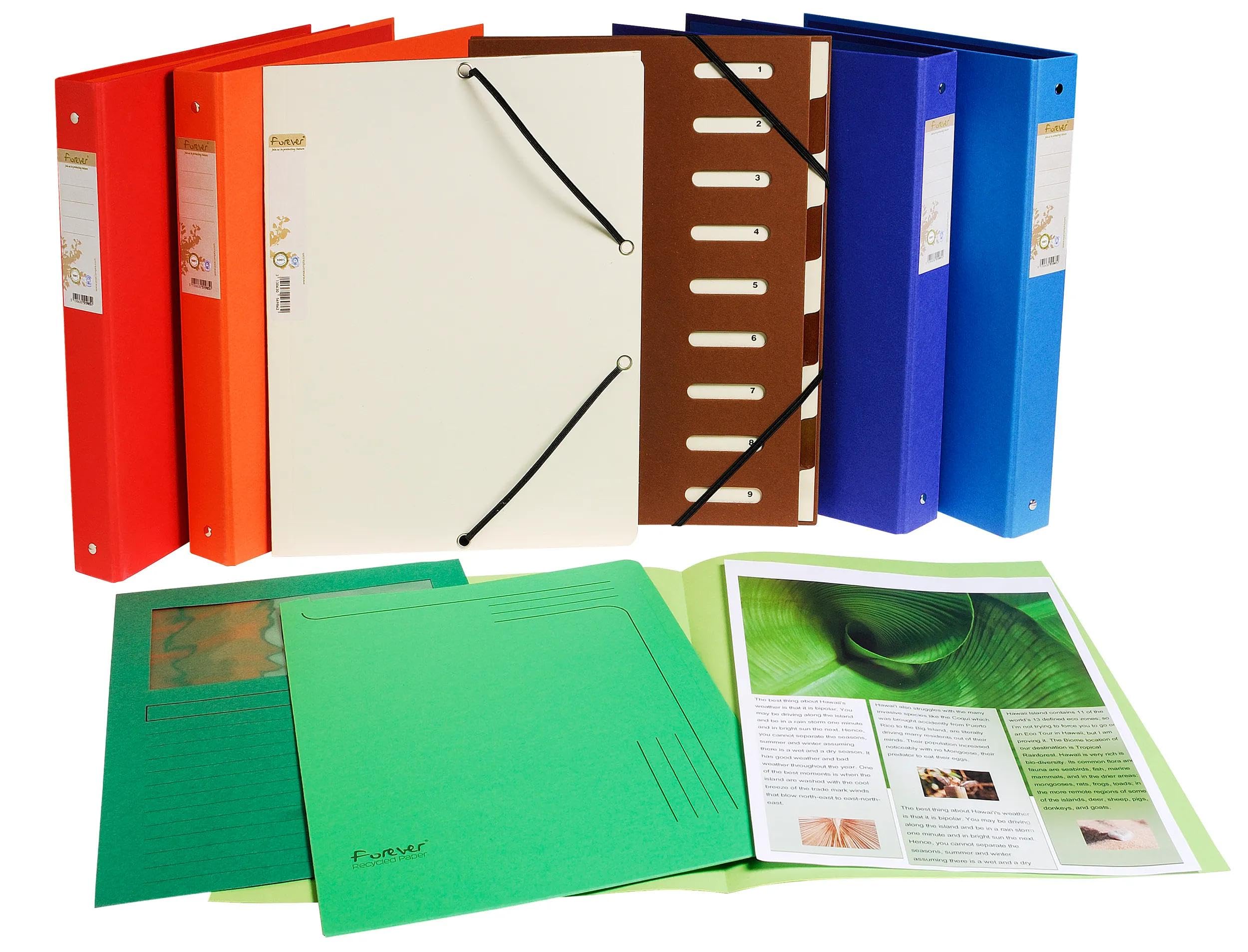 Exacompta 10 raccoglitori Forever A4 2 anelli verde