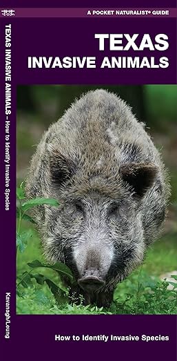 Texas Invasive Animals (Nature Observation North America)
