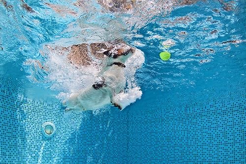 Miniatura 7 de Vitalili Pelotas de goma para perros, pelota de entrenamiento para perros, pelota de agua, juguete de bola de agua de alto rebote resistente a las