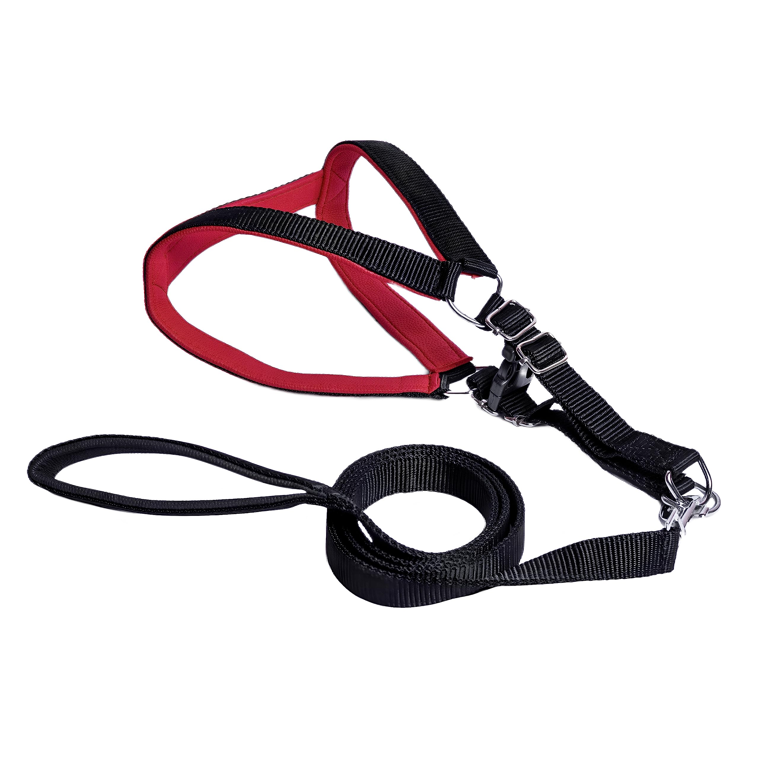 VIP Collection Nylon Premium Dog Harness and Padded Leash Set-Stylish and Comfortable for Walking Running and Training Color -Black-Red (Medium) (B07Z4Y24PV) Amazon Price History, Amazon Price Tracker