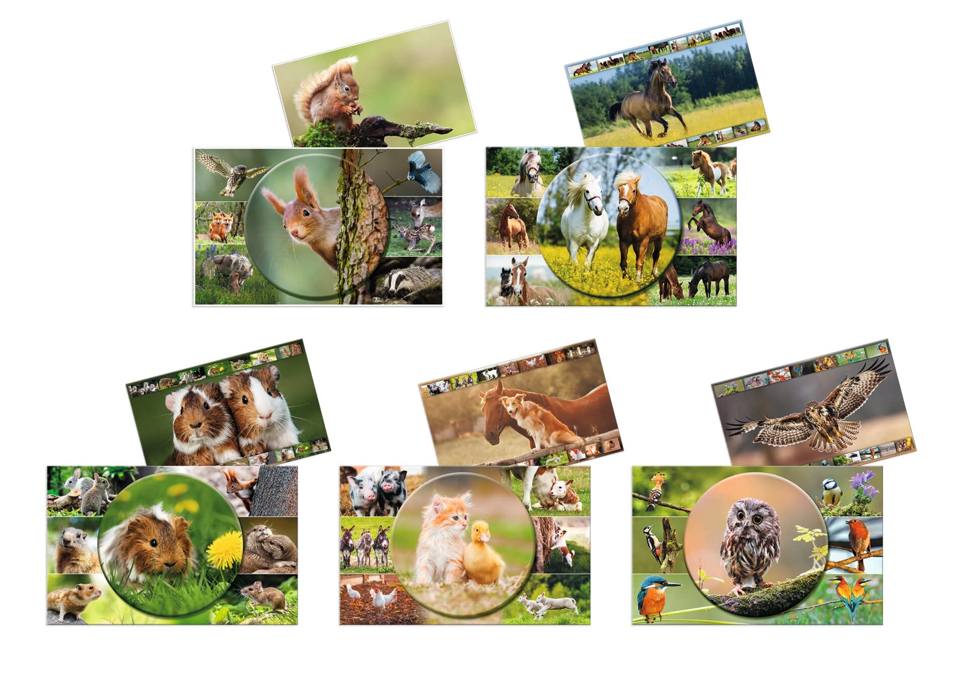 HERMA 19680 Schreibtischunterlagen Tierwelten Sortiment, 10 Stück, abwischbare Kinder Schreibunterlagen aus Karton, 55 x 35 cm, beidseitiges Motiv Tischunterlagen Set für Mädchen & Jungen