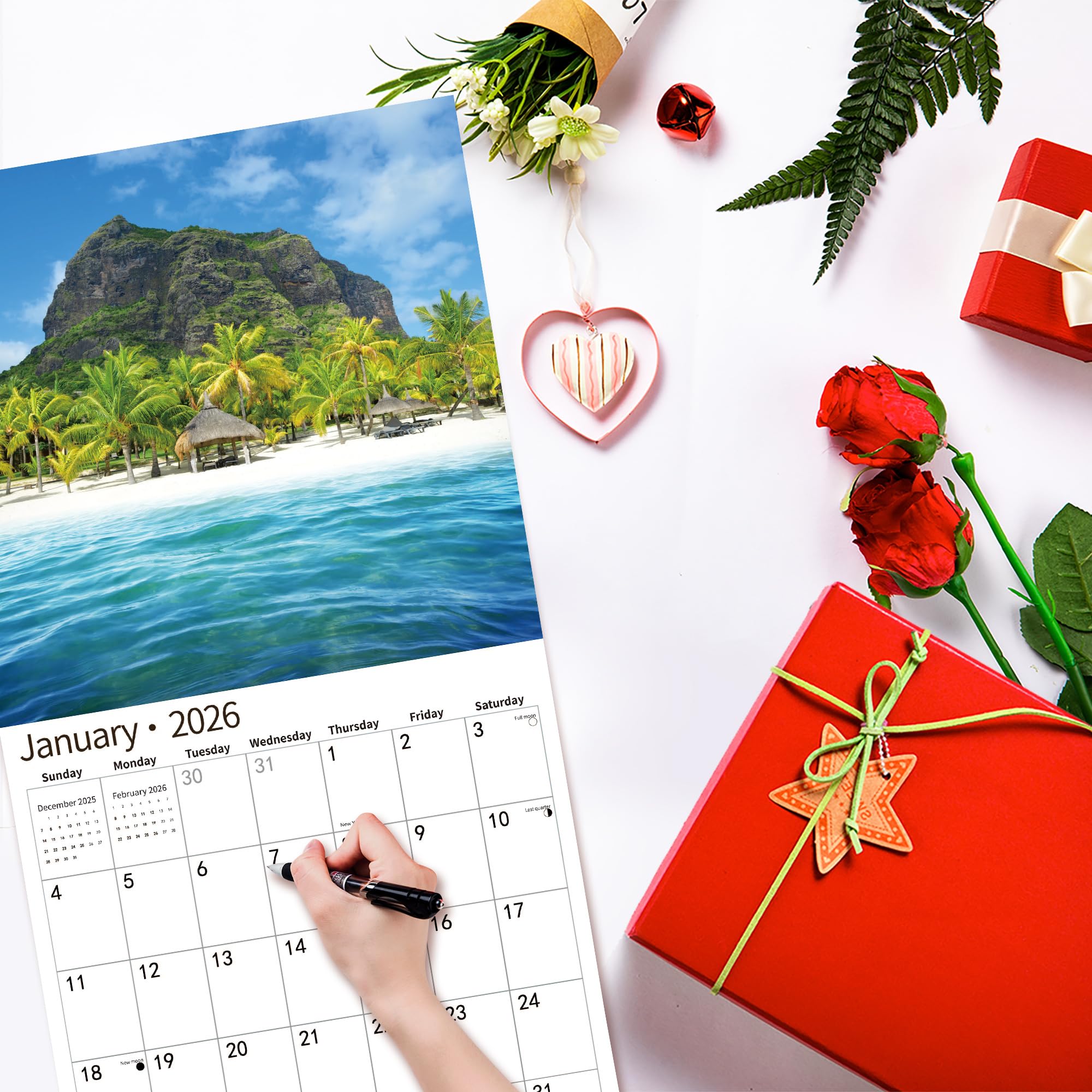 Calendario Anual 2025 Por Meses Calendario 2025 Pared Para Escribir Calendario Anual Borrable 2025 Calendario 2025 Pdf Word