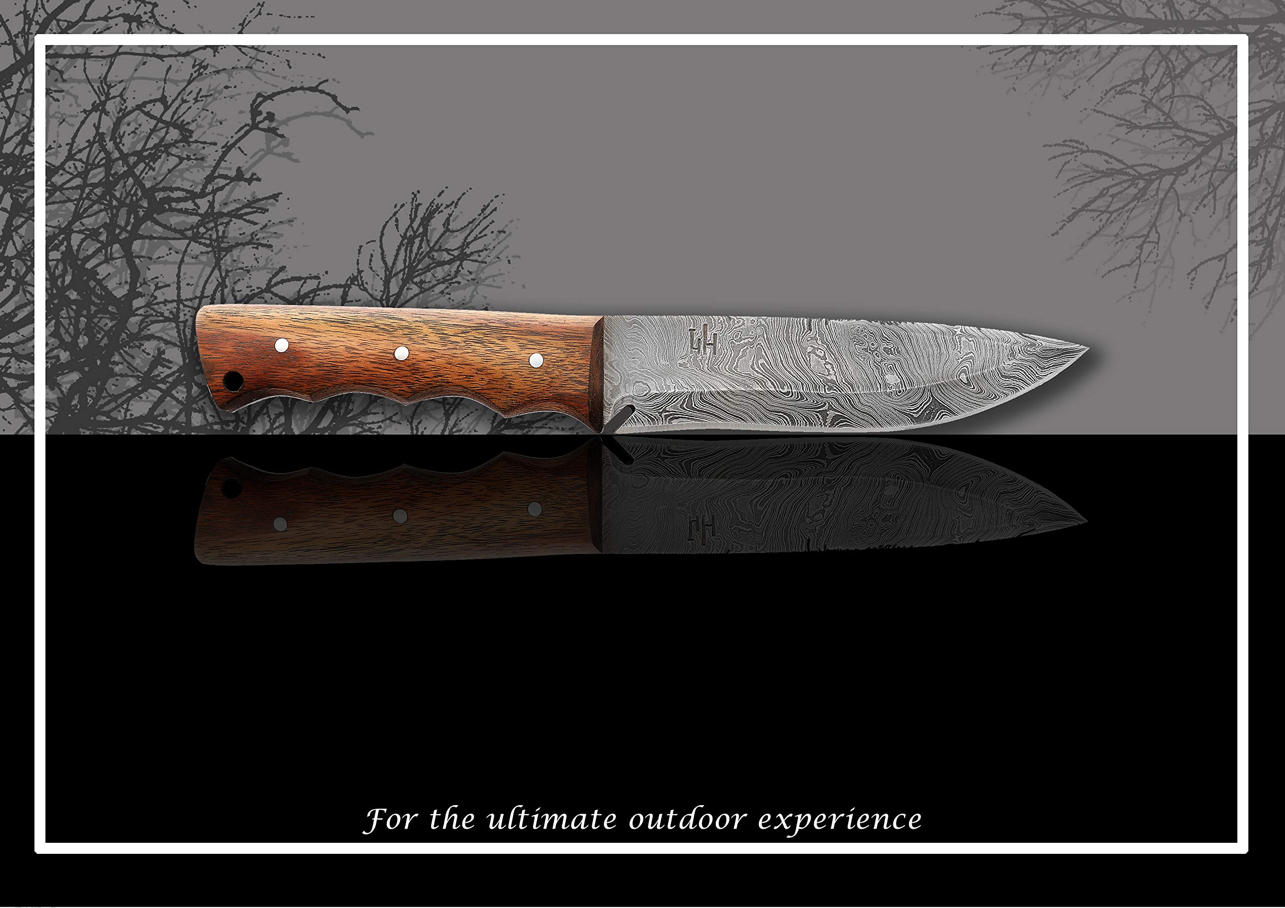 Hobby Hut HH-401, 11,5 Pollici Bushcraft Coltello in Acciaio Damasco | Coltello da Caccia, Manico in Legno di Noce | Fodero in Pelle | Lama affilata del Rasoio all'aperto