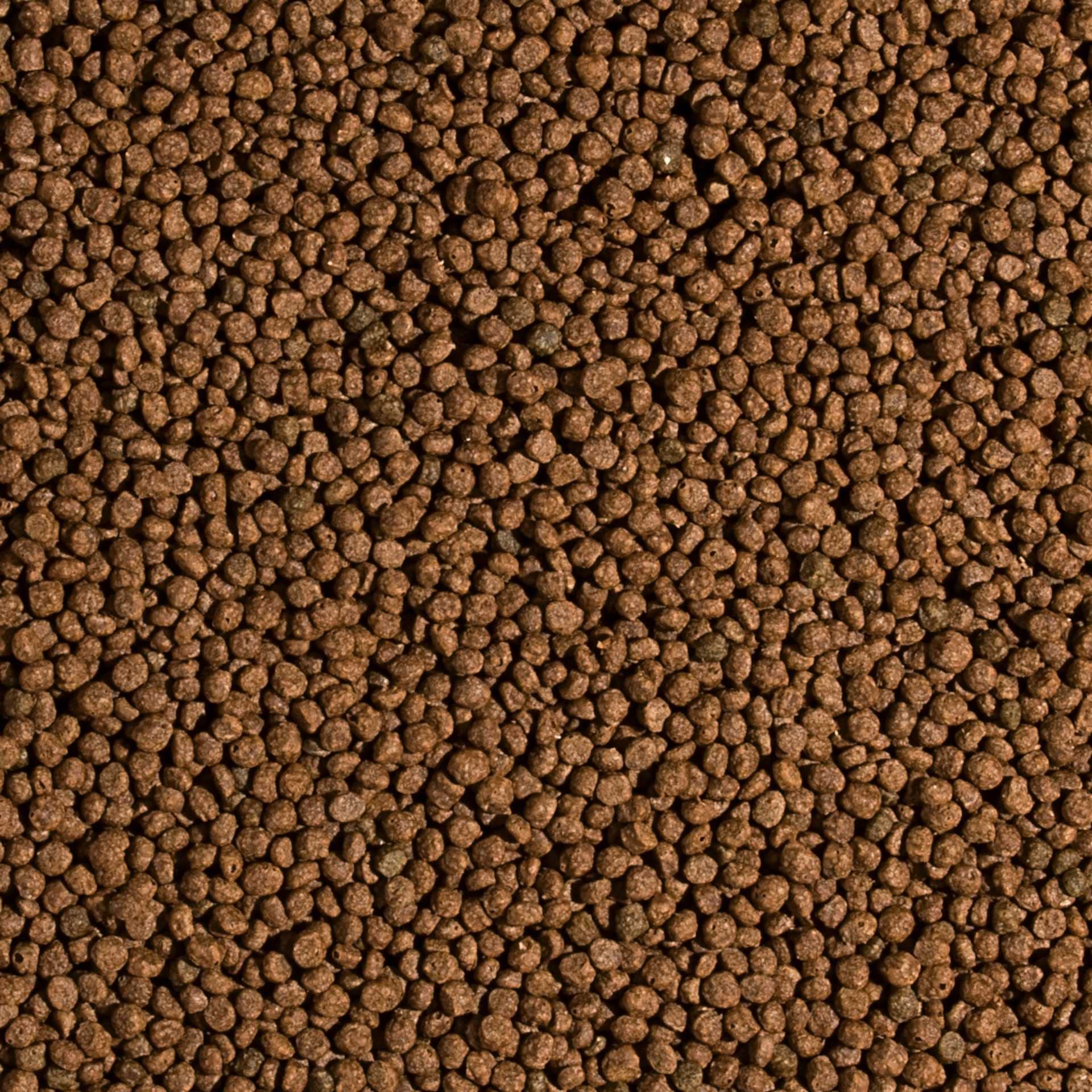 Tropical Koi Wheat Germ & Garlic Pellet Size S 7kg - Aliment Quotidien pour Tous Les Poissons d'étang, avec ajout d'ail, Petits granulés