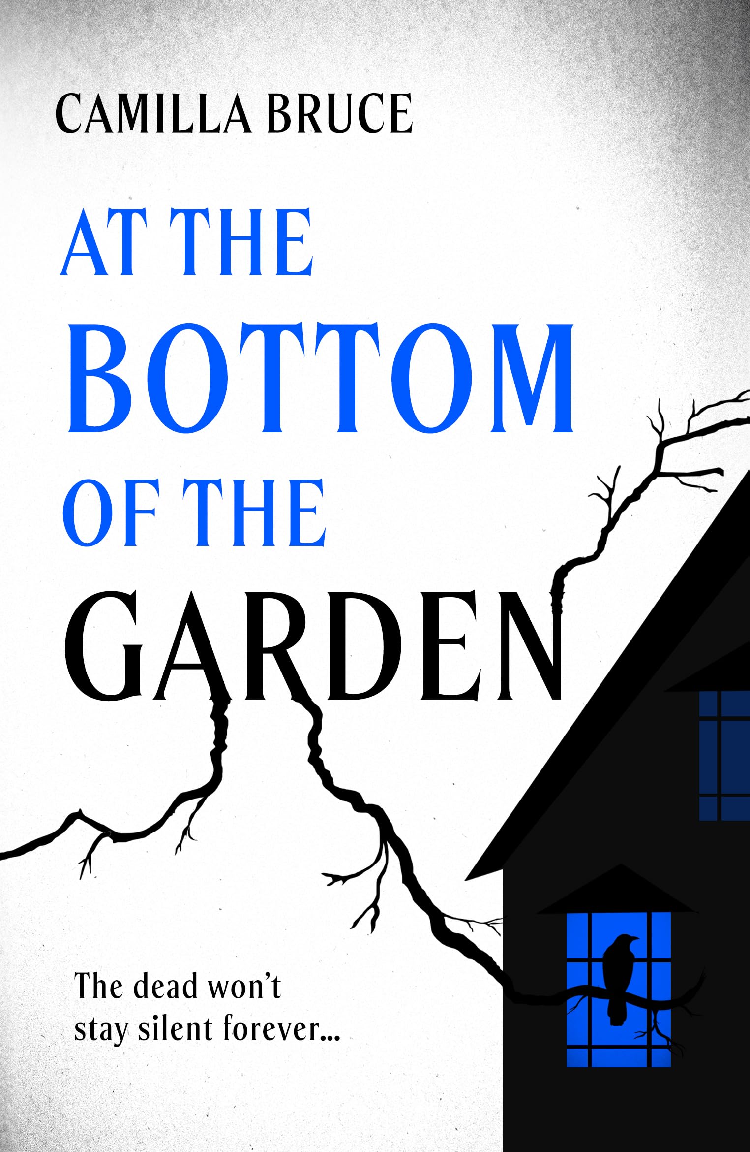 At the Bottom of the Garden by Camilla Bruce (Paperback Book)