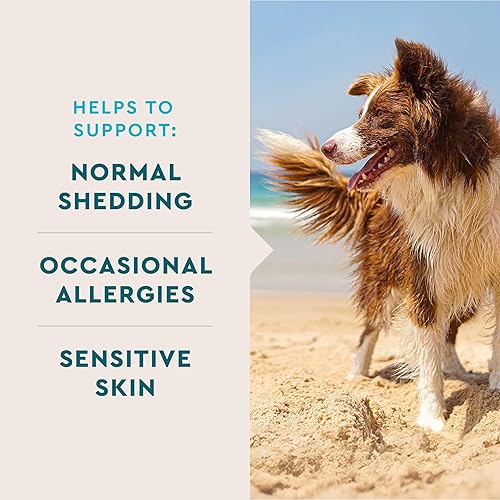 Miniatura 3 de VetIQ Suplemento para la piel y el pelaje para perros, ayuda a mantener la piel sana y el pelaje brillante, masticable para perros con sabor a humo