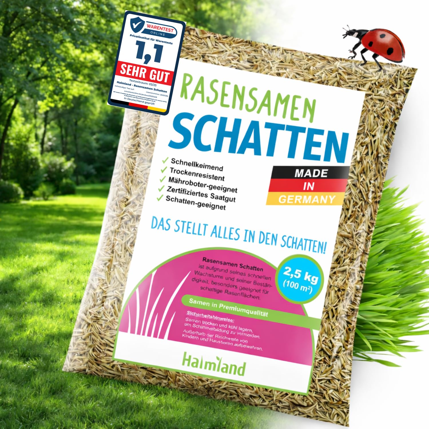 Schattenrasen Samen 2,5kg – für 100m² hochwertige Rasensamen & Grassamen schnellkeimend Sommer für Rasen Nachsaat & dichte Rasensaat | SEHR GUT getestet inkl. Anleitung