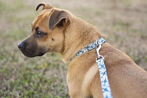 Miniatura 10 de Country Brook Petz - Collar de perro Deluxe Farm Life Y'all, fabricado en los Estados Unidos, colección de animales con 16 diseños salvajes (12