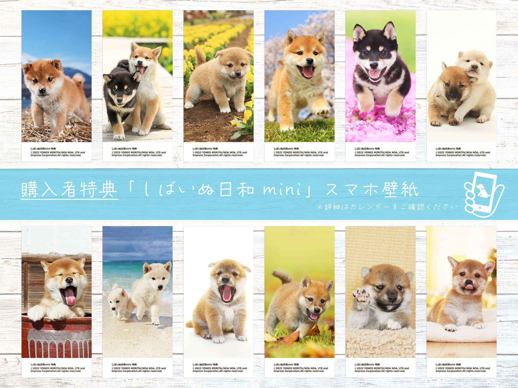 Amazon Co Jp 購入者限定特典あり しばいぬ日和 Mini 各月しばいぬのスマホ壁紙画像 データ配信 インプレスカレンダー23 森田米雄 文房具 オフィス用品