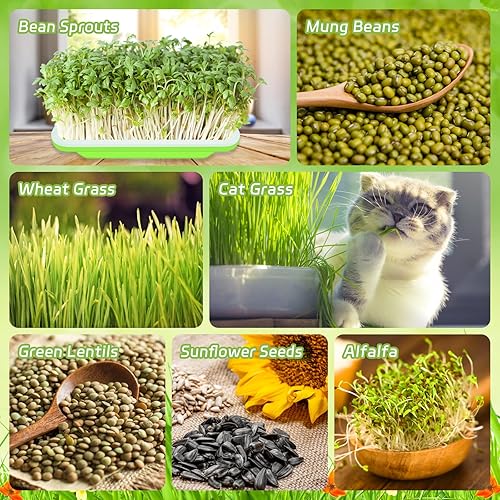 Miniatura 31 de Legigo Paquete de 2 bandejas de germinación de semillas con tapas, bandeja de germinación de cultivo sin tierra, sin BPA, bandejas de cultivo de 2