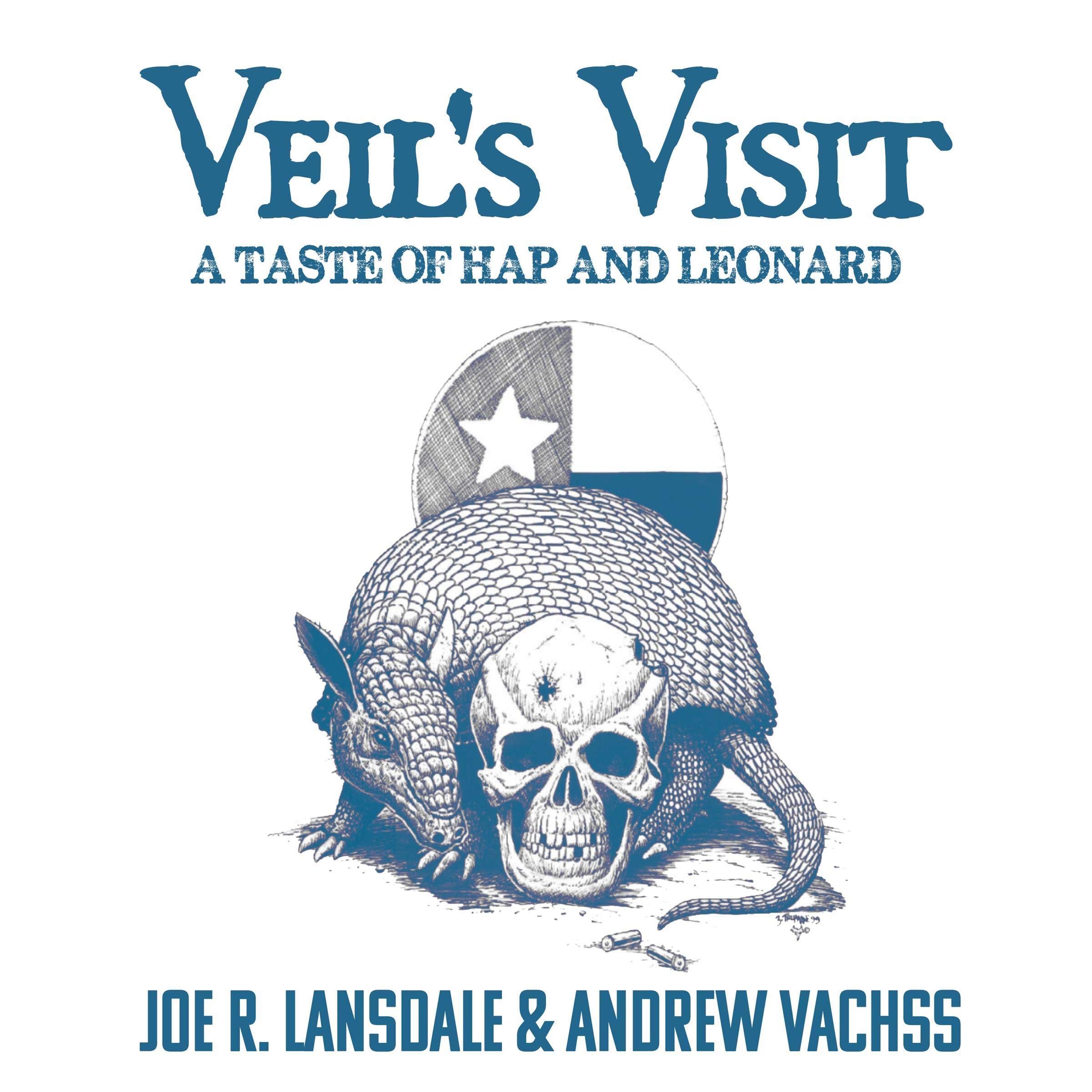 Cover art for Veil's Visit