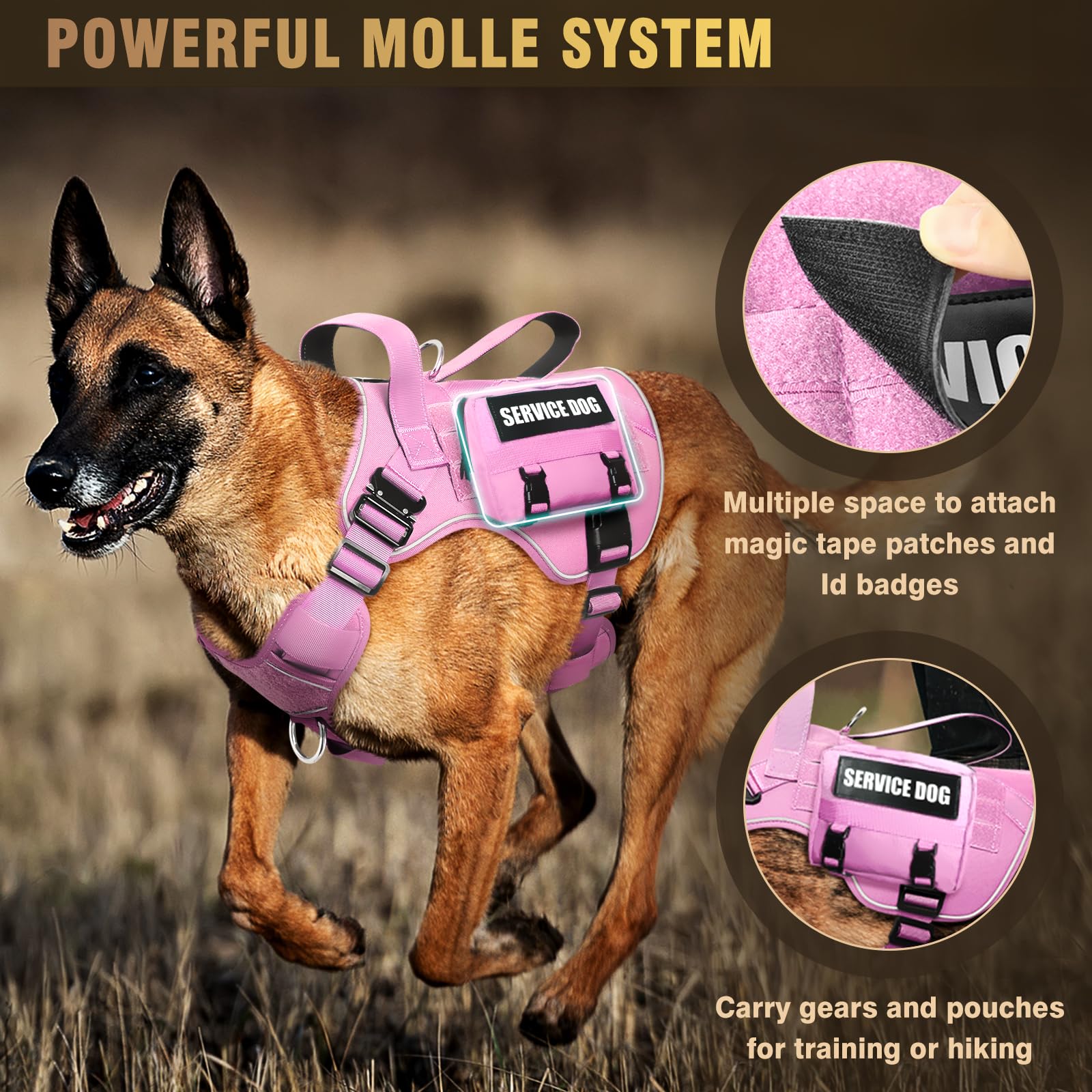 WINSEE Taktisches Hundegeschirr für große Hunde, robuste Servicehunde, MOLLE-Weste mit 10 Haustier-Patches, kein Ziehen, Militär-Arbeitsweste für Training, Jagd, Spazierengehen