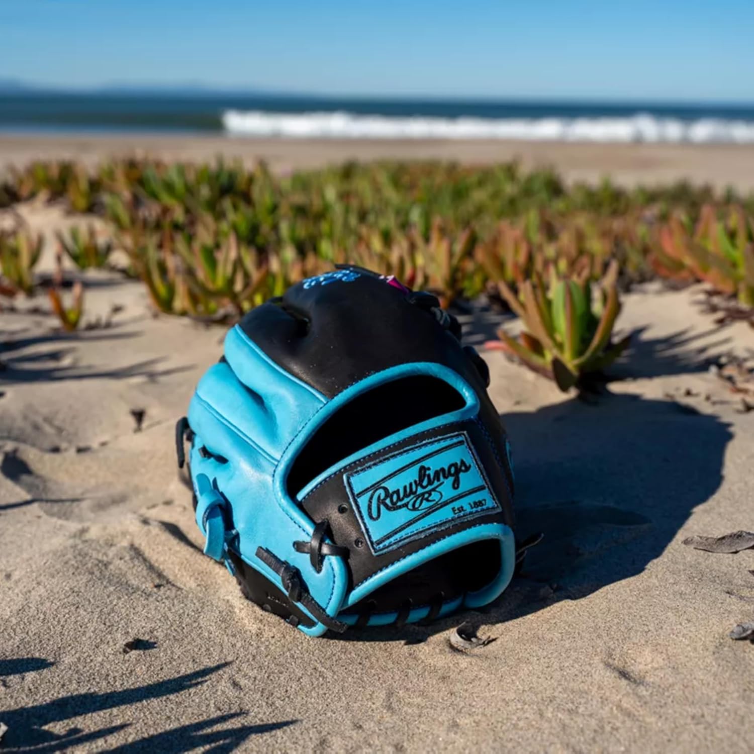 Rawlings | Heart of The Hide Series Baseball Glove | Pro H-Web |