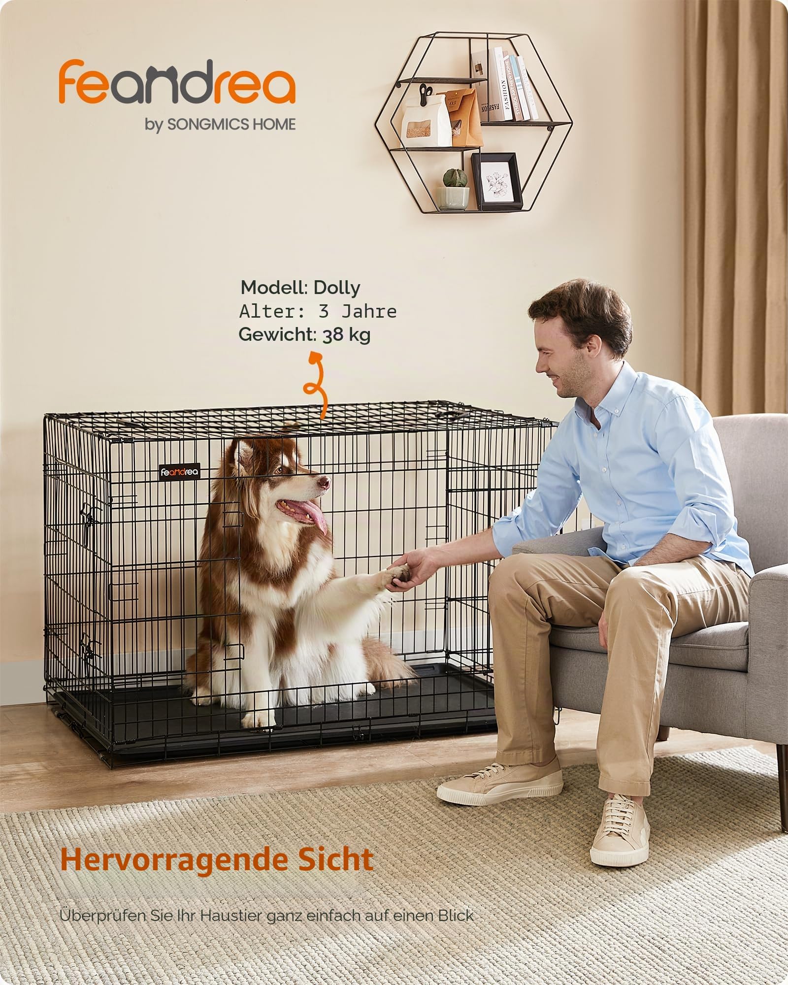 Feandrea Hundekäfig klappbar 2 Türen ausziehbare Kunststoffschale 122 x 74,5 x 80,5 cm XXL schwarz
