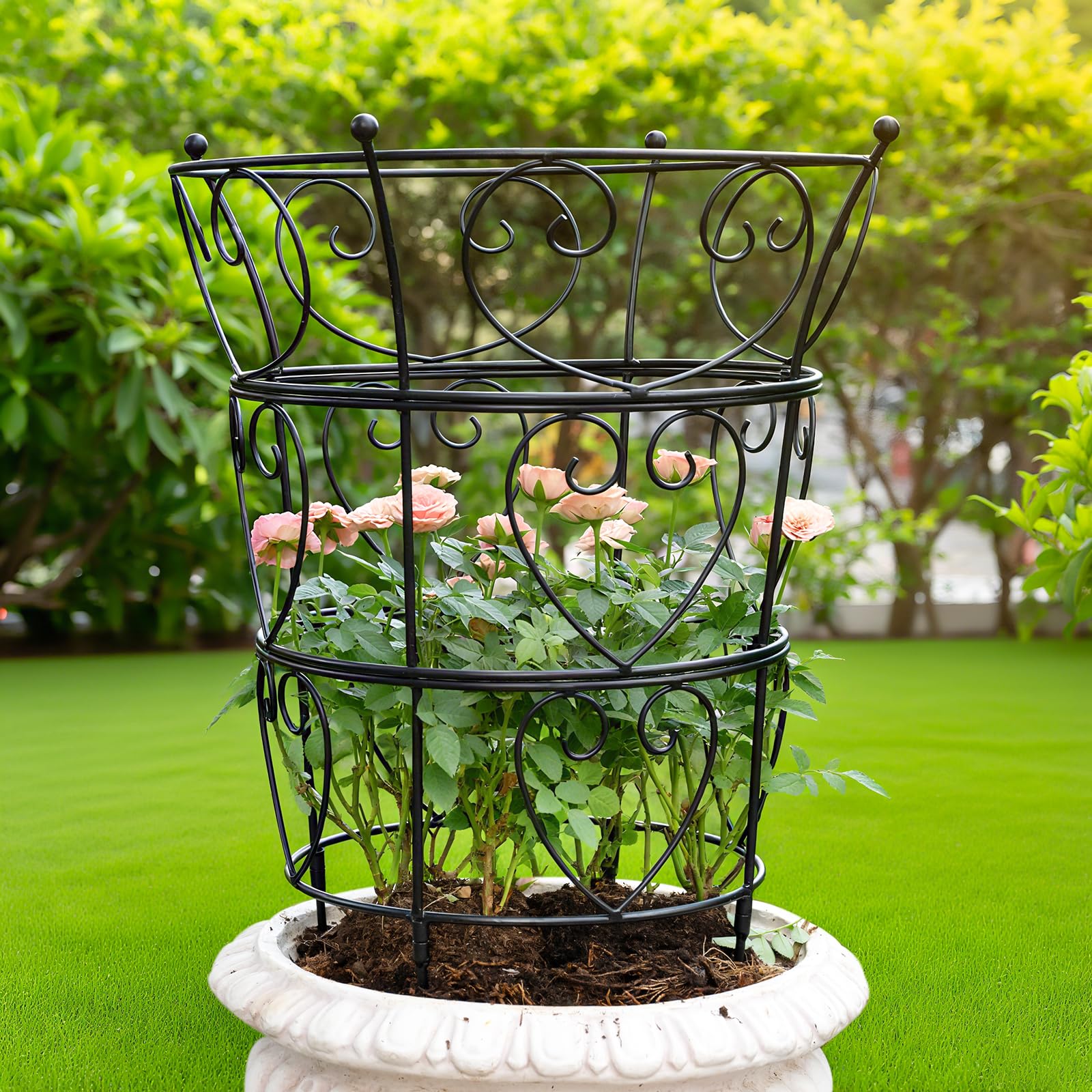 Goooxim Large Obelisk Trellis Peony Cage