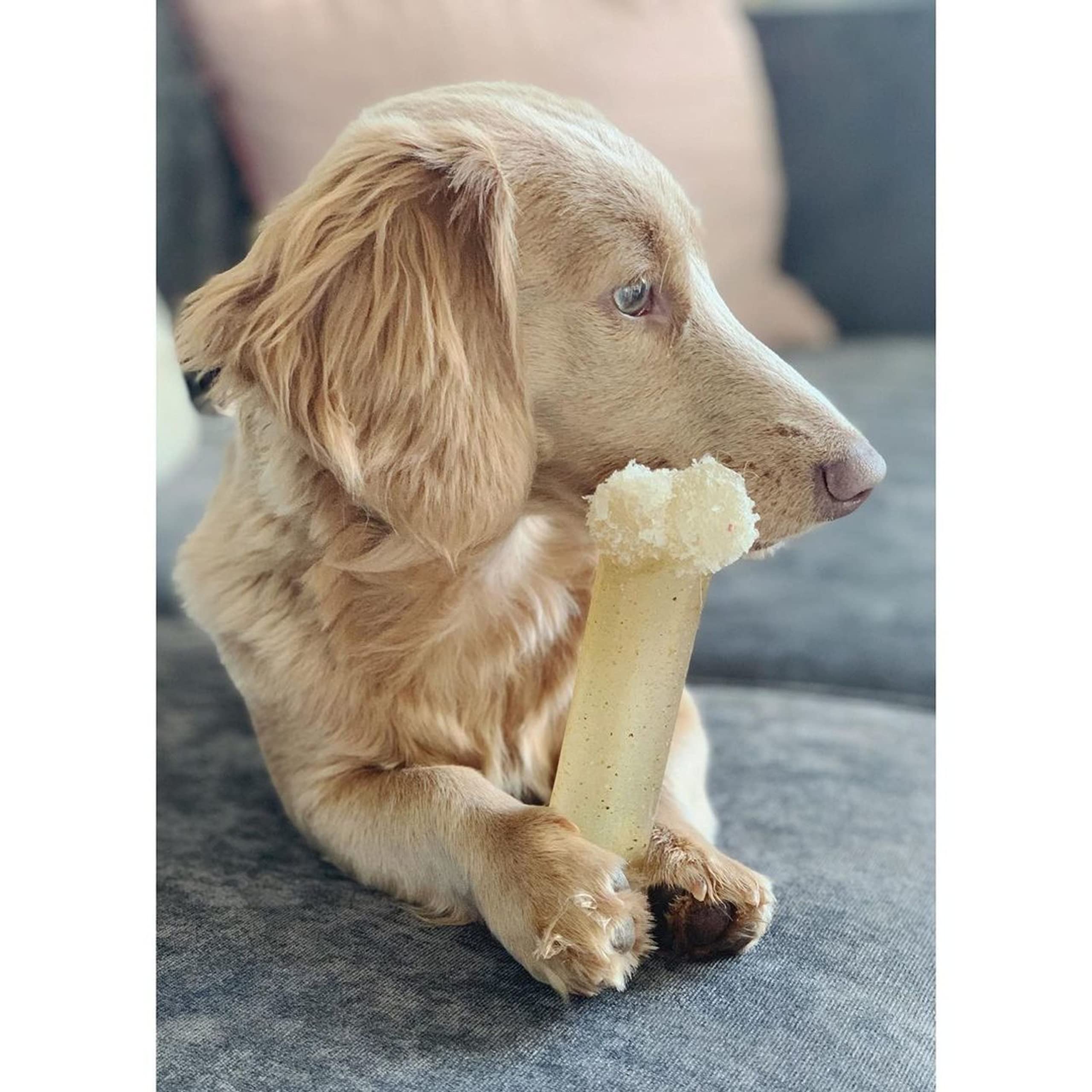 Are Nylabones Safe For Dogs To Eat