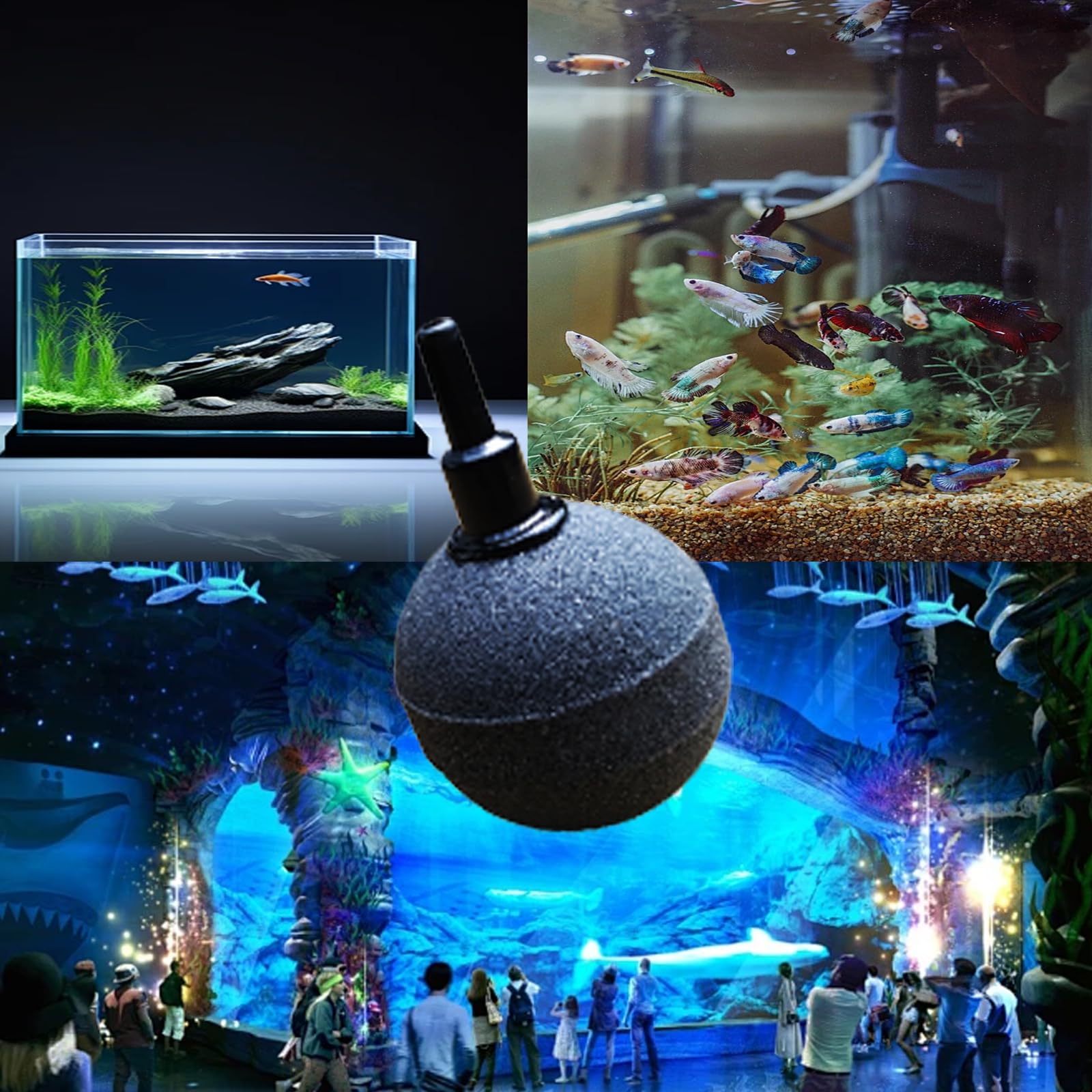 8 Pièces Diffuseur Bulle, Ball-Shape Bubble Release Tool, Pierre d'air d'Aquarium Bubbler, 4mm/8mm Tuyau Connectable pour éTangs, Aquariums Et RéServoirs à Poissons