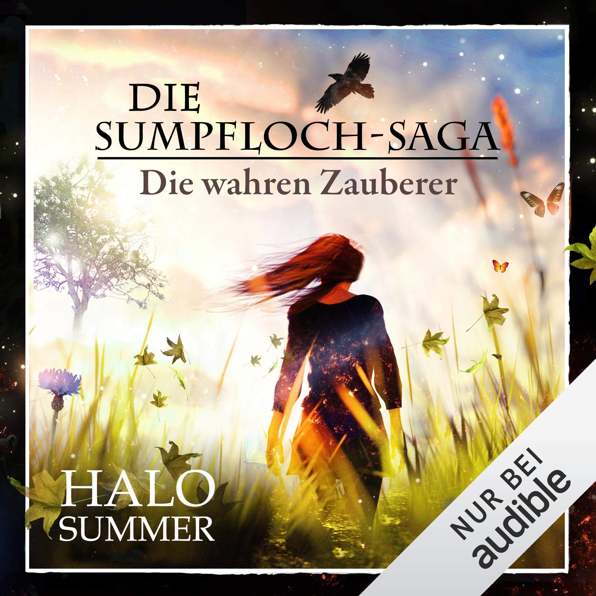 Cover art for Die wahren Zauberer