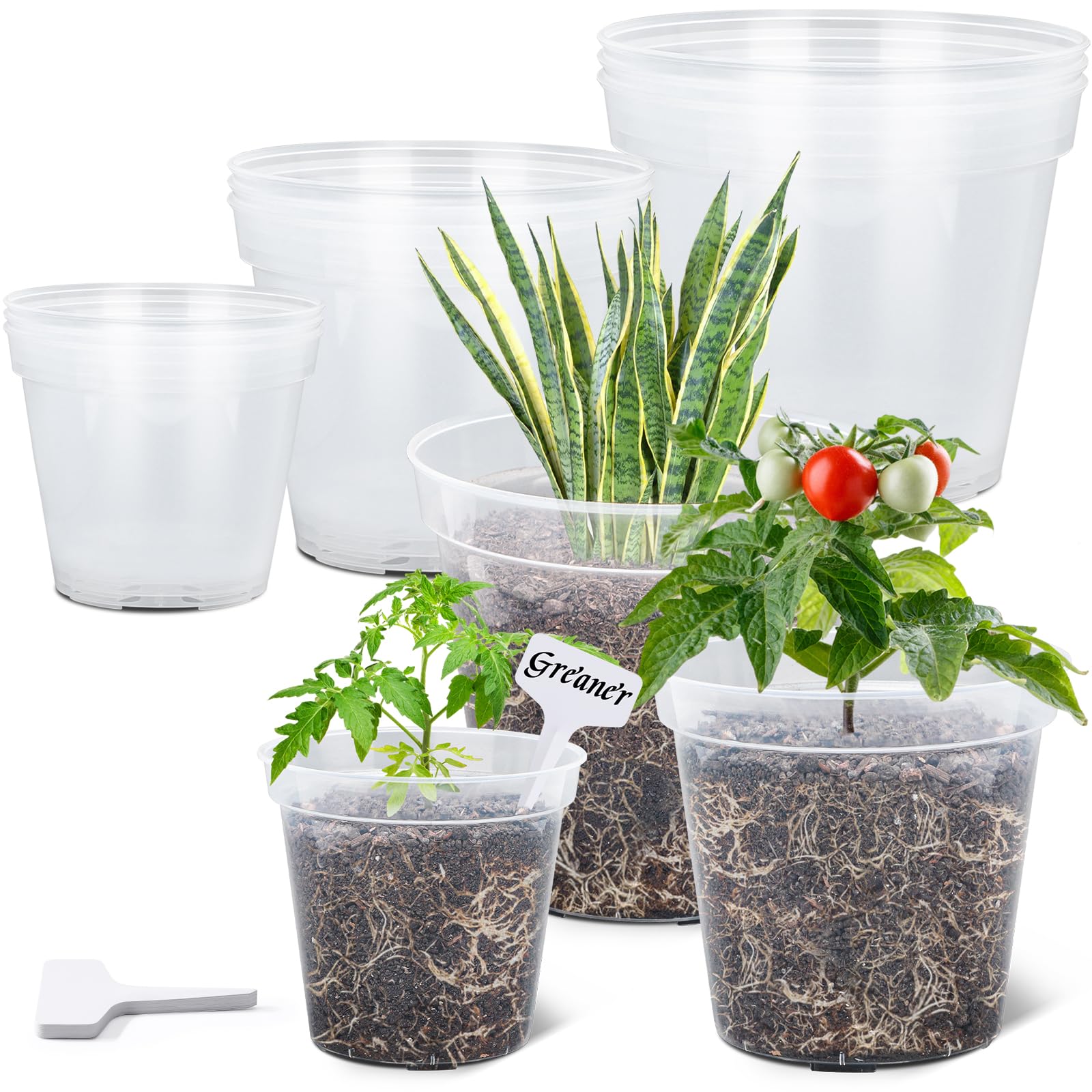 GREANER Lot de 12 pots d'orchidée transparents de 15,2 cm, 20,4 cm avec trous et 20 étiquettes pour plantes d'intérieur et d'extérieur