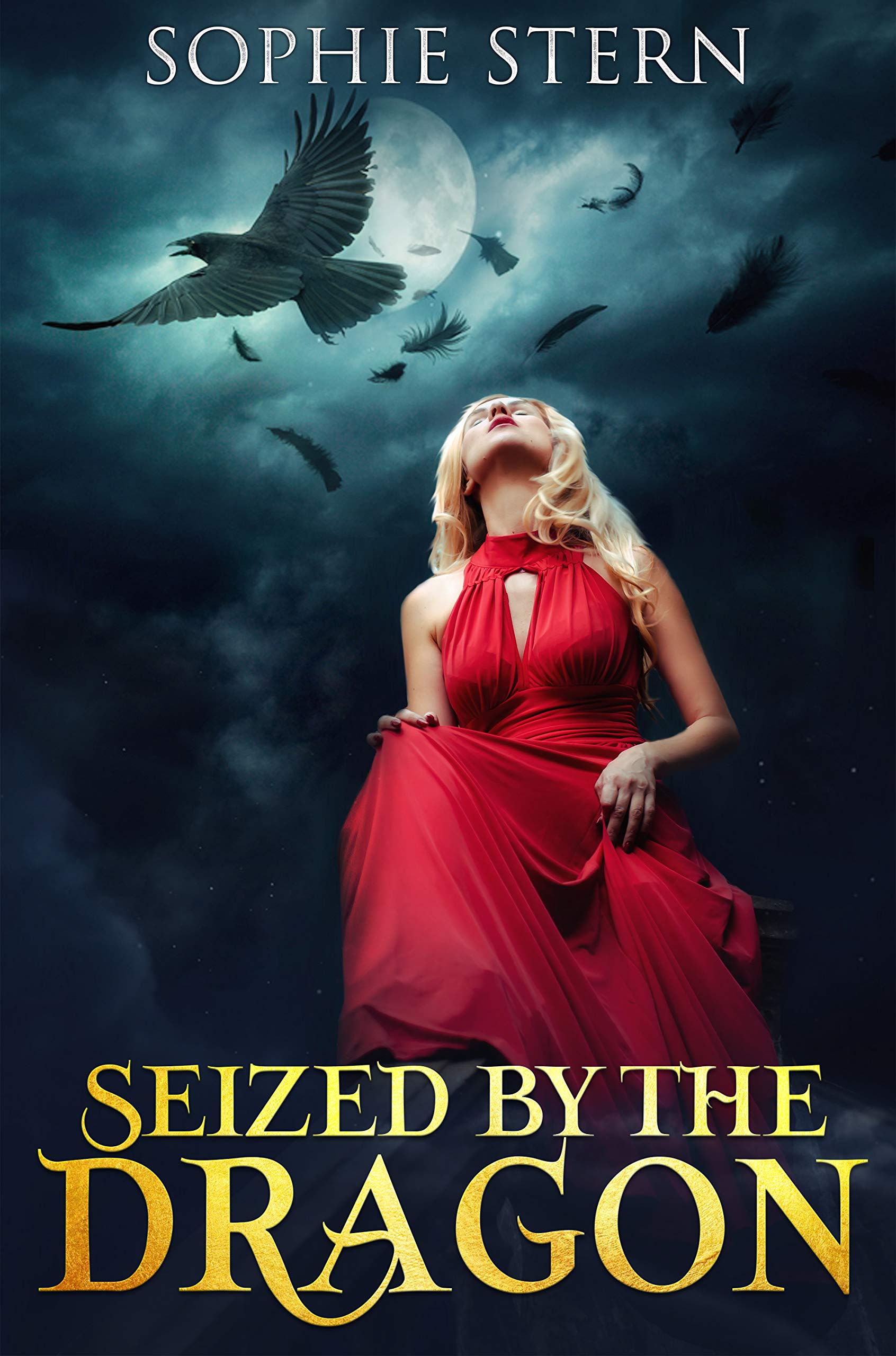 Cover of Seized by the Dragon