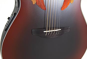 Amazon.com: Ovation Celebrity Elite CE44-RRB Mid-depth Acoustic