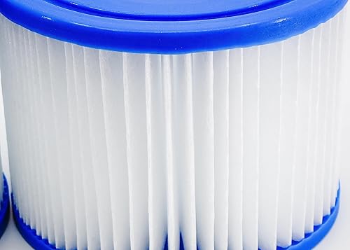 Miniatura 9 de Paquete de 10 filtros de repuesto para bañera de hidromasaje para spa BESTWAY Coleman Saluspa Tipo VI