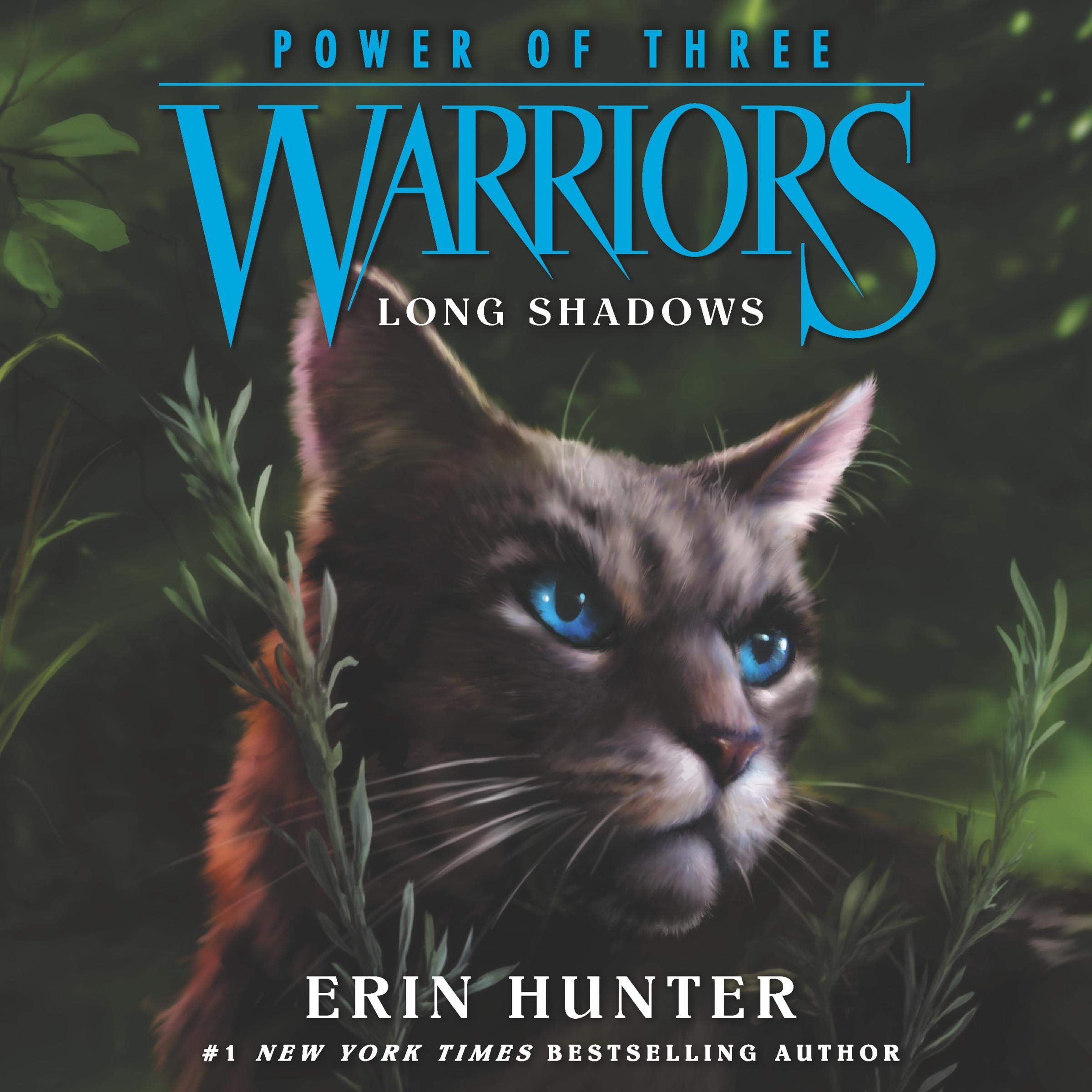 Cover art for Warriors: Power of Three #5: Long Shadows