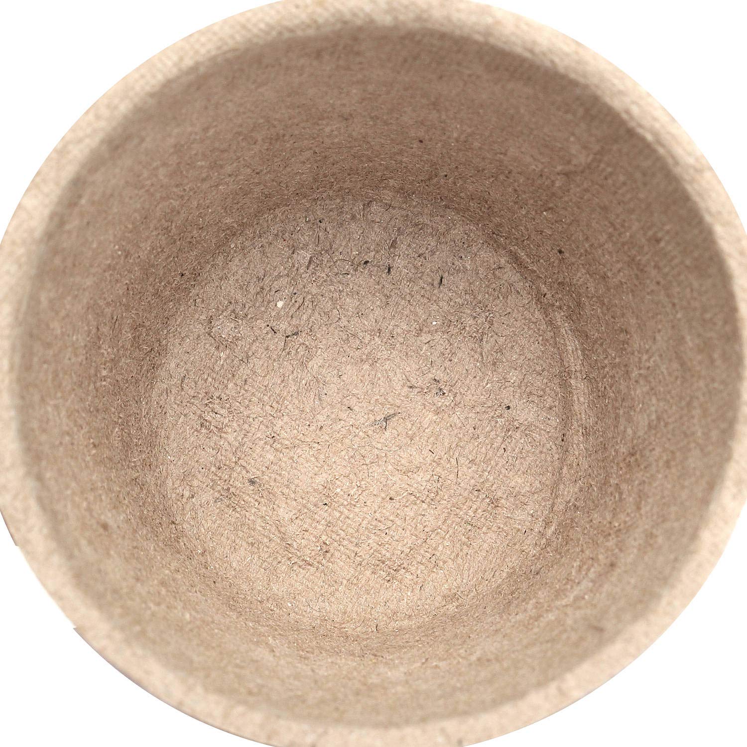 Schramm® Pots de Culture 24, 48 ou 96 pièces en Cellulose Ronde 6 cm biodégradable Pot de Plantation Pots de semis Pot en Fibre, Nombre:48 Stück