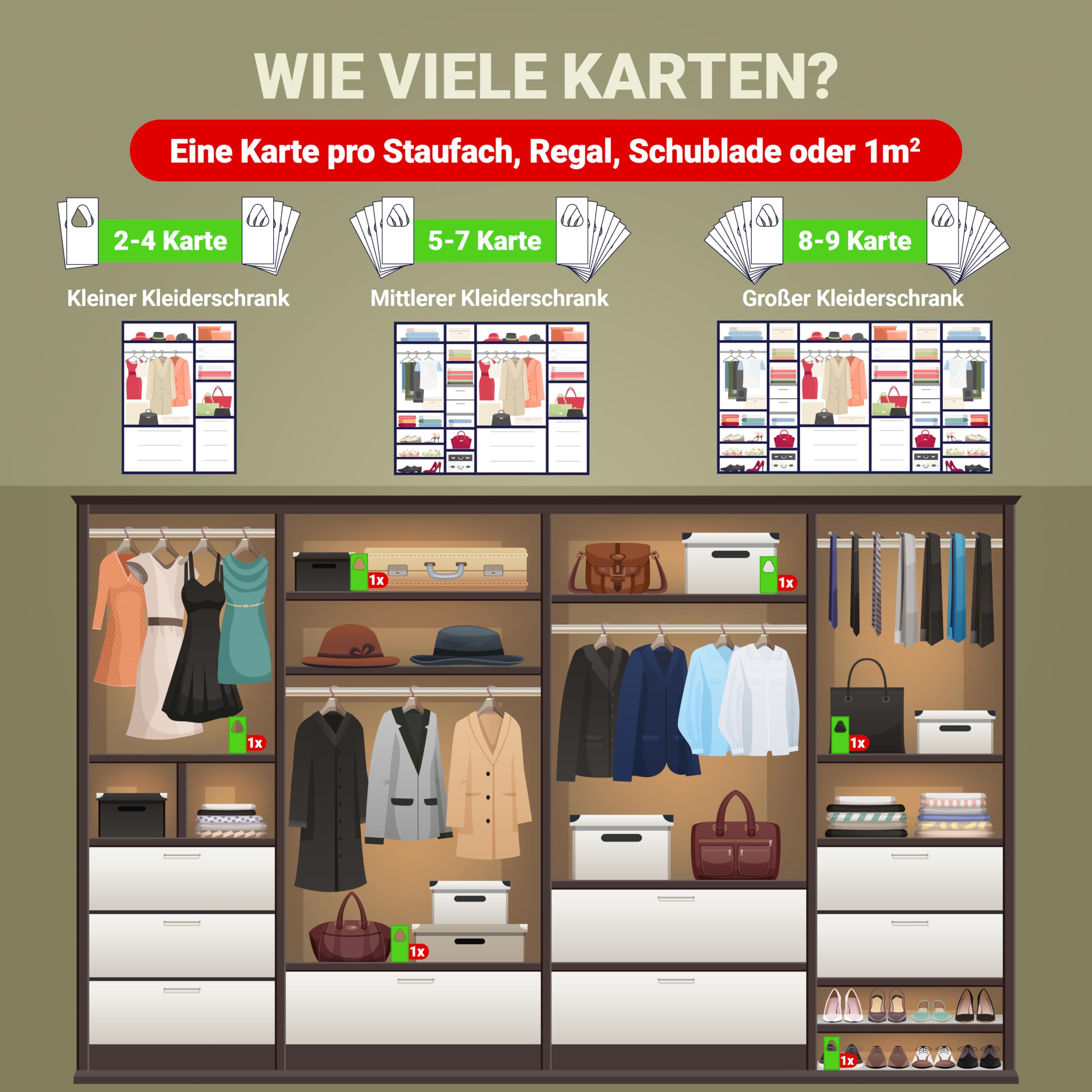 Schlupfwespen gegen Kleidermotten – 1 Lieferung mit 15 Karten – Biologische Mottenbekämpfung – Sofort einsatzbereit – Alternative zu Mottenfalle, Mottenpapier & Mottenspray
